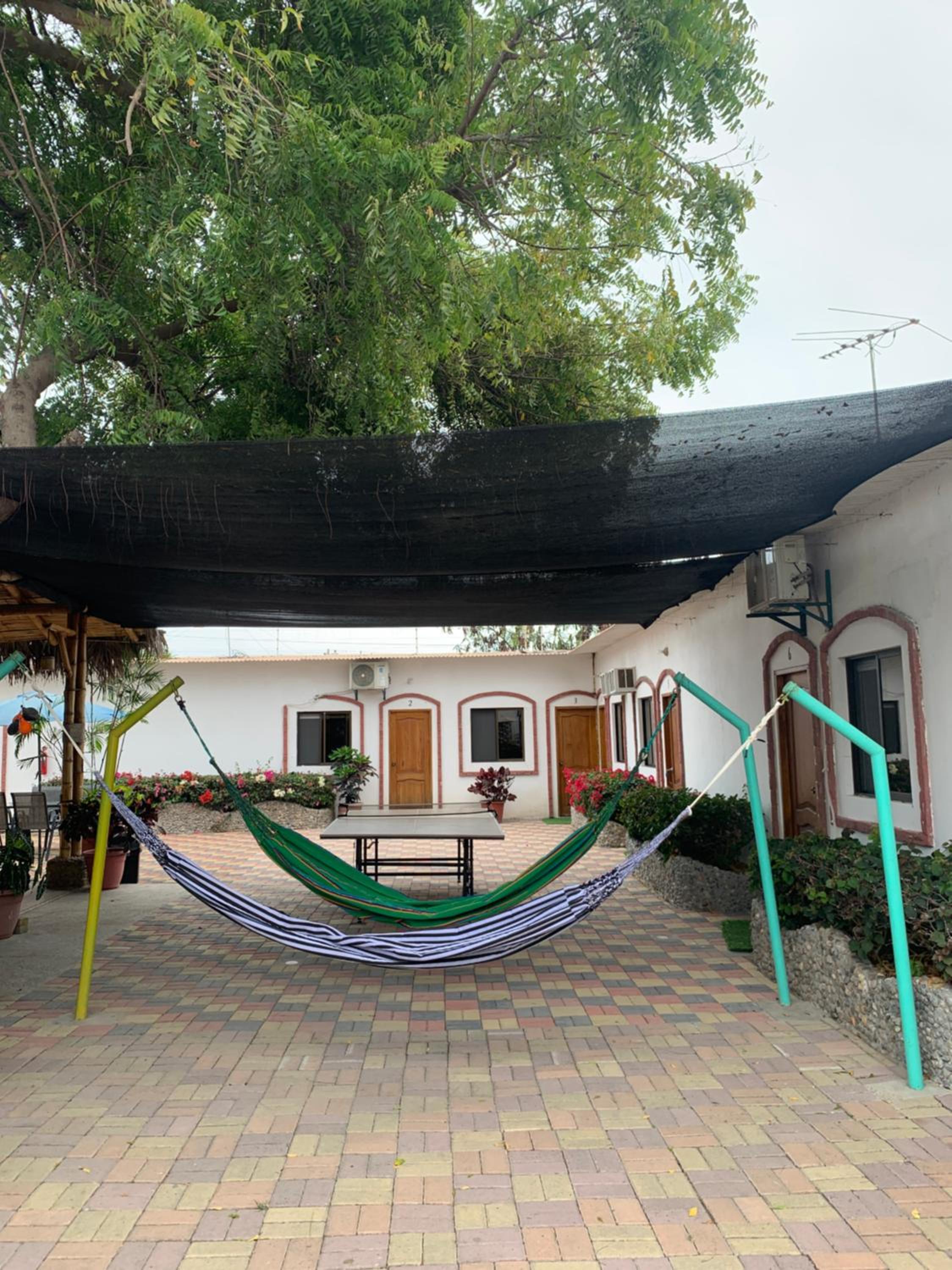 Photo 46