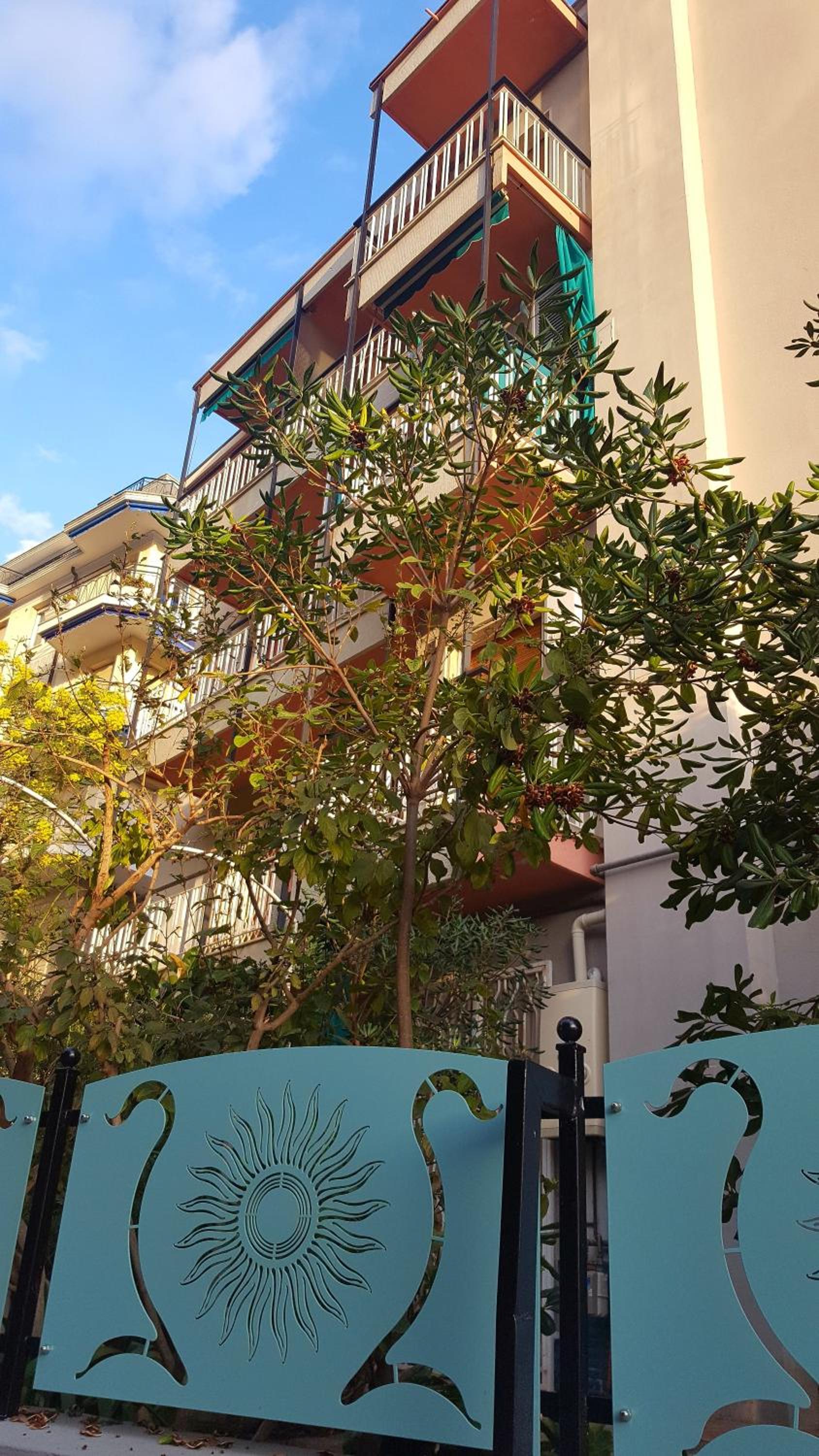 Casa Morandi - Little private gem in Ospedaletti view 4