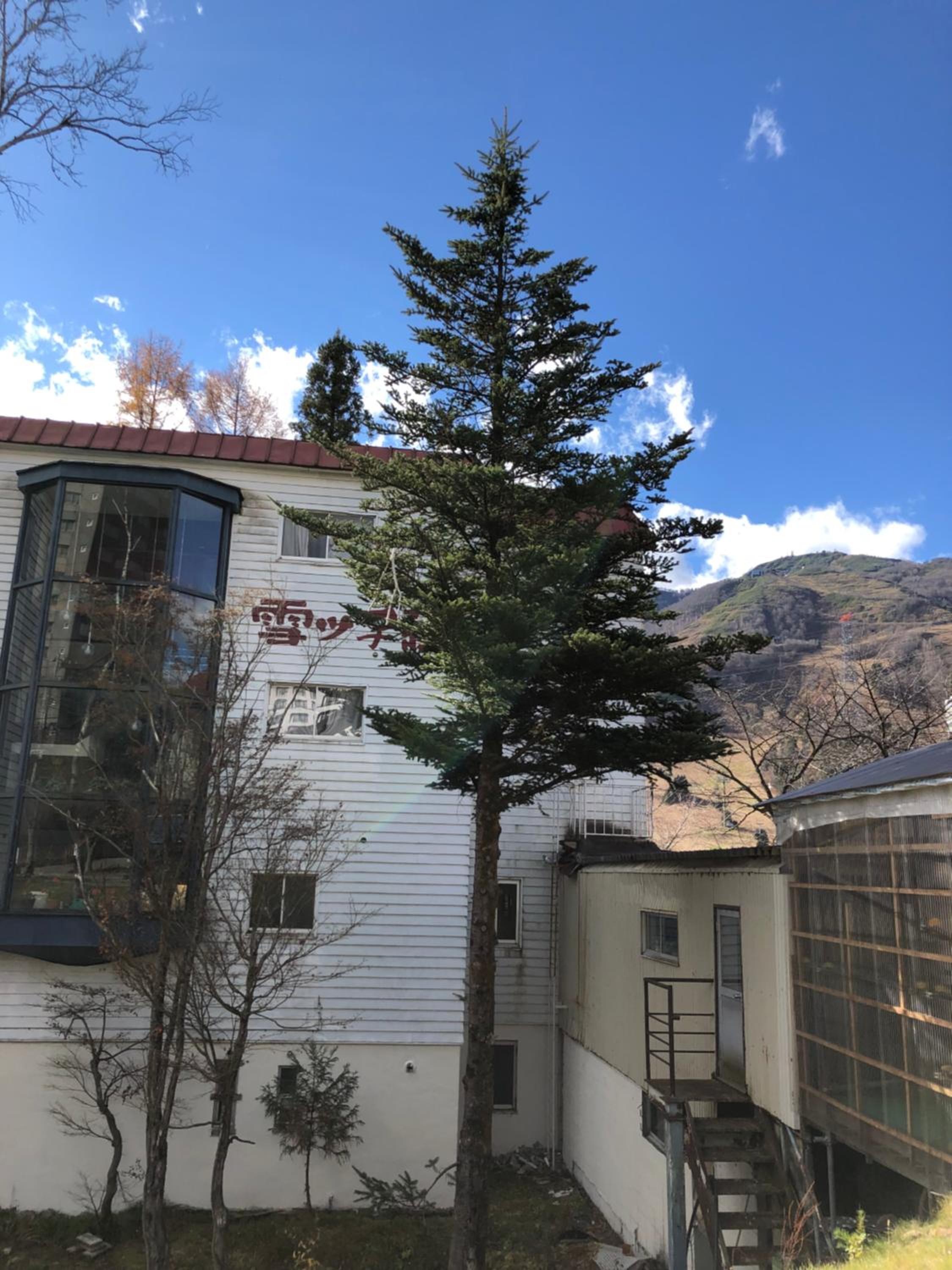 Petit Hotel Yukikkoso view 2