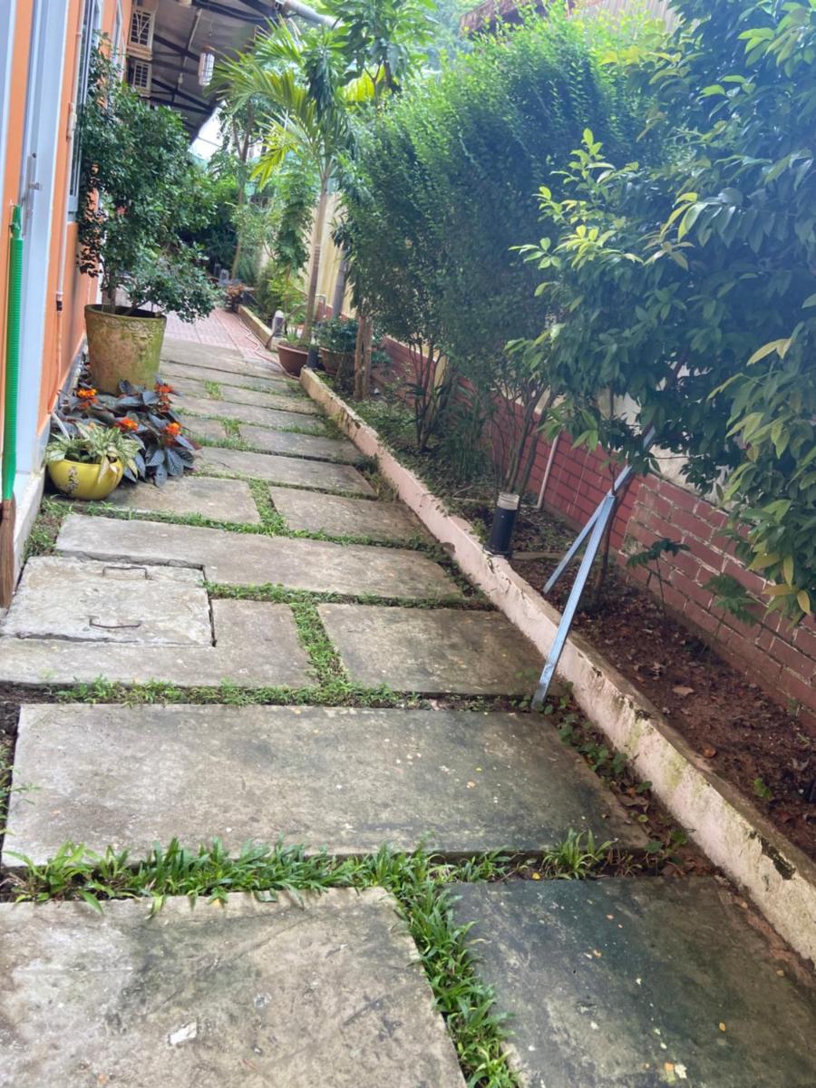 garden