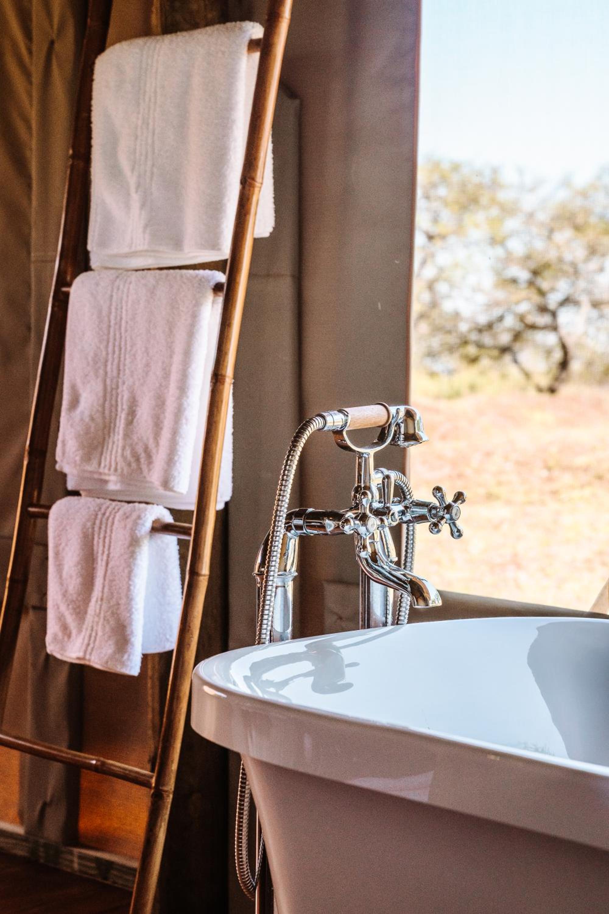 Jbay Zebra Lodge