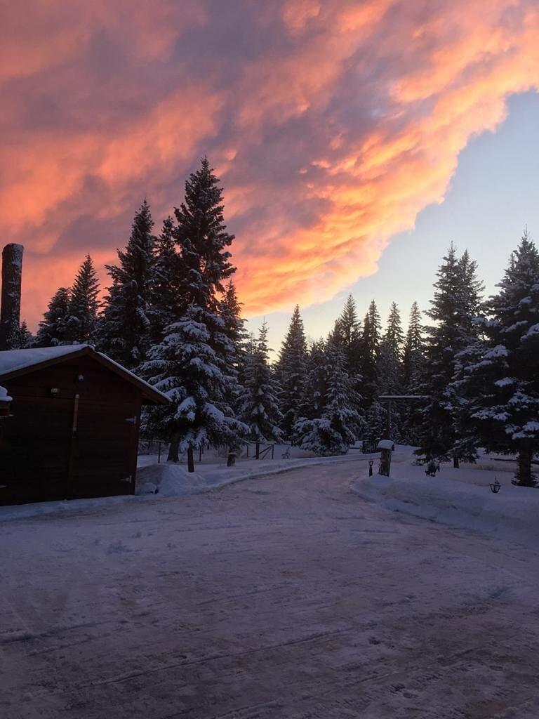 Dream Cabin