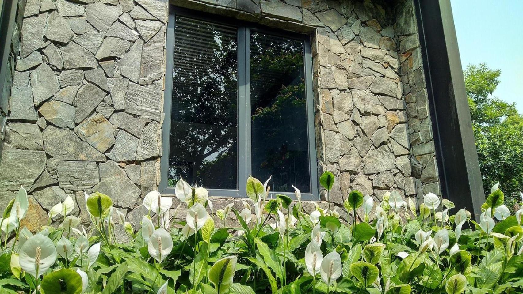 Padme Villas Ba Vì - Venuestay