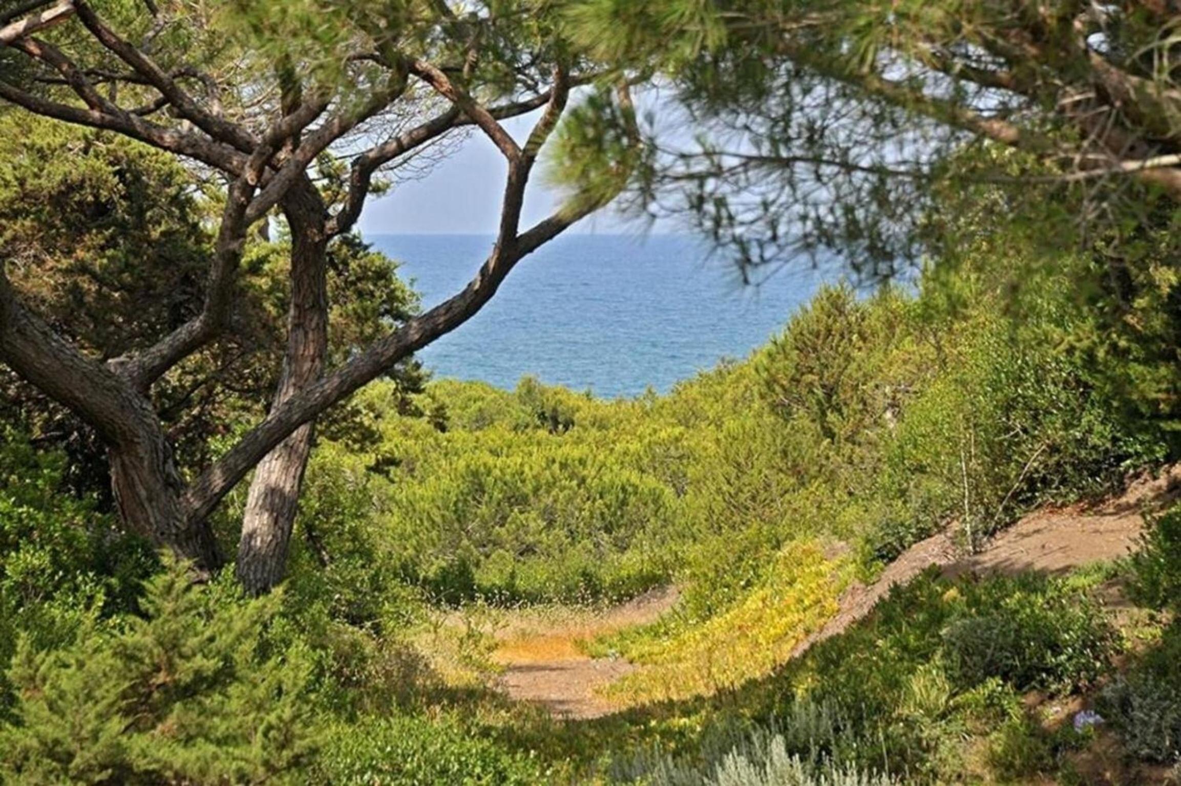 Beach Front Bibbona view 4