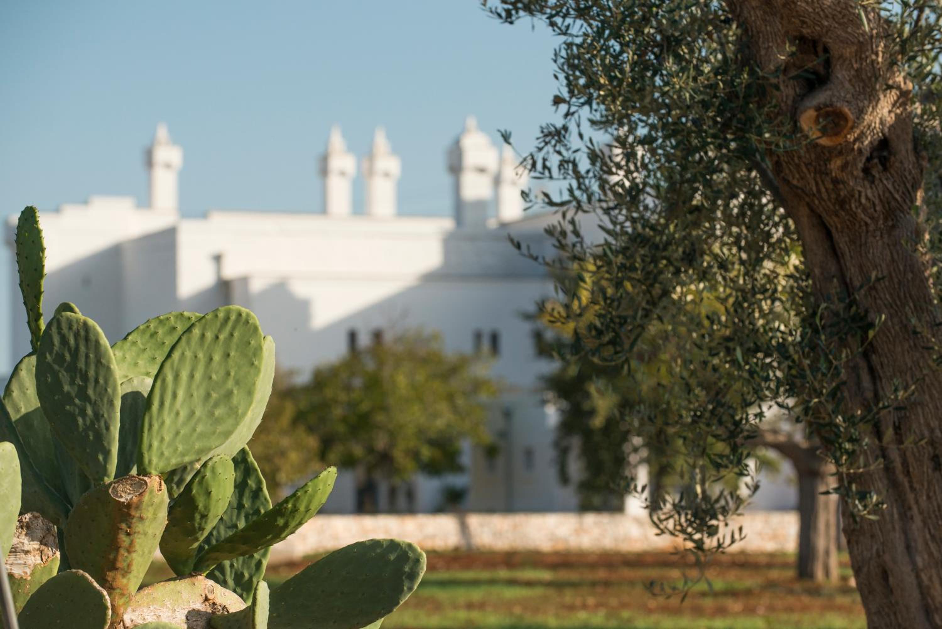 Masseria Le Torri