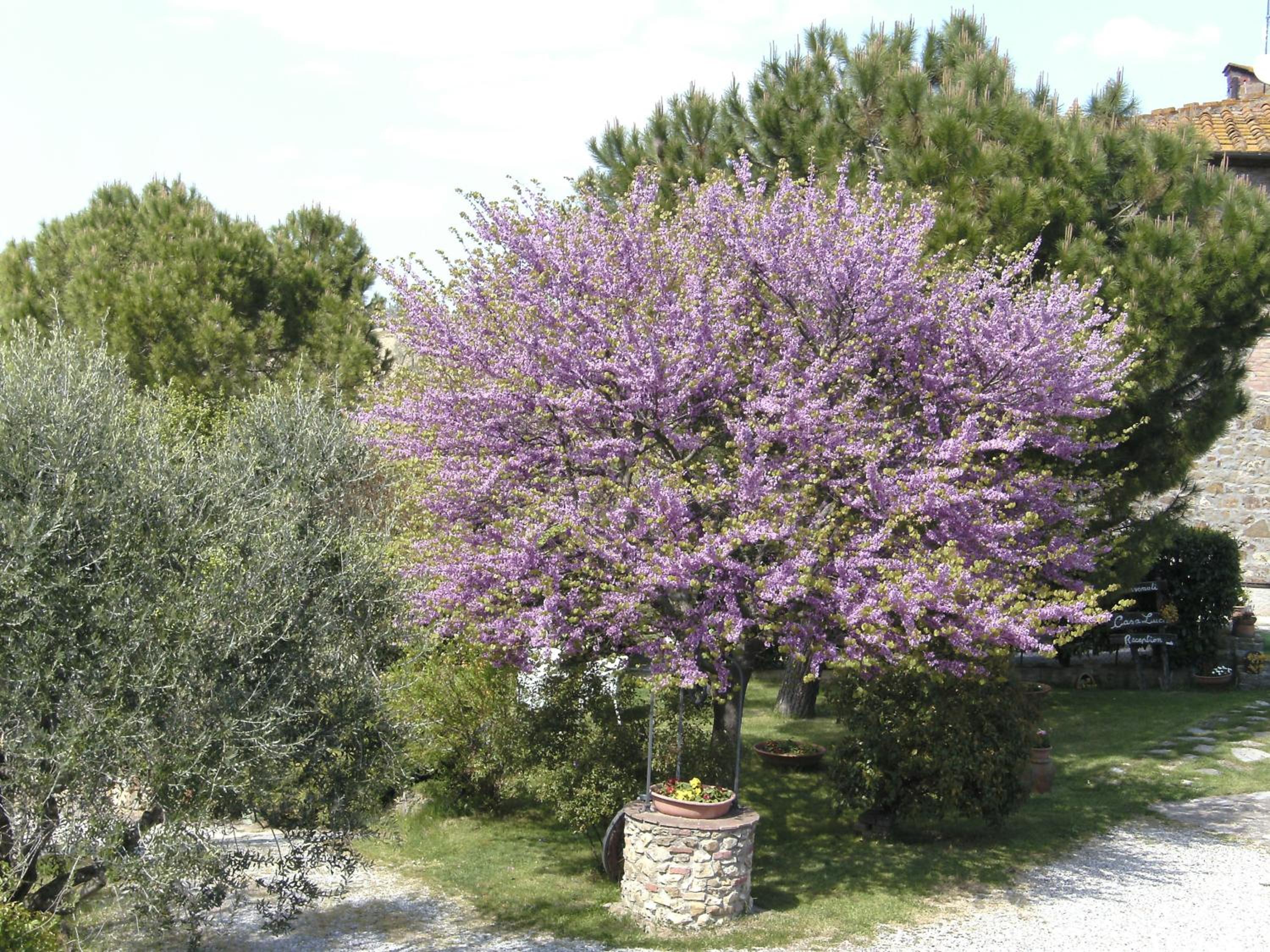 Casa Lucia in Chianti