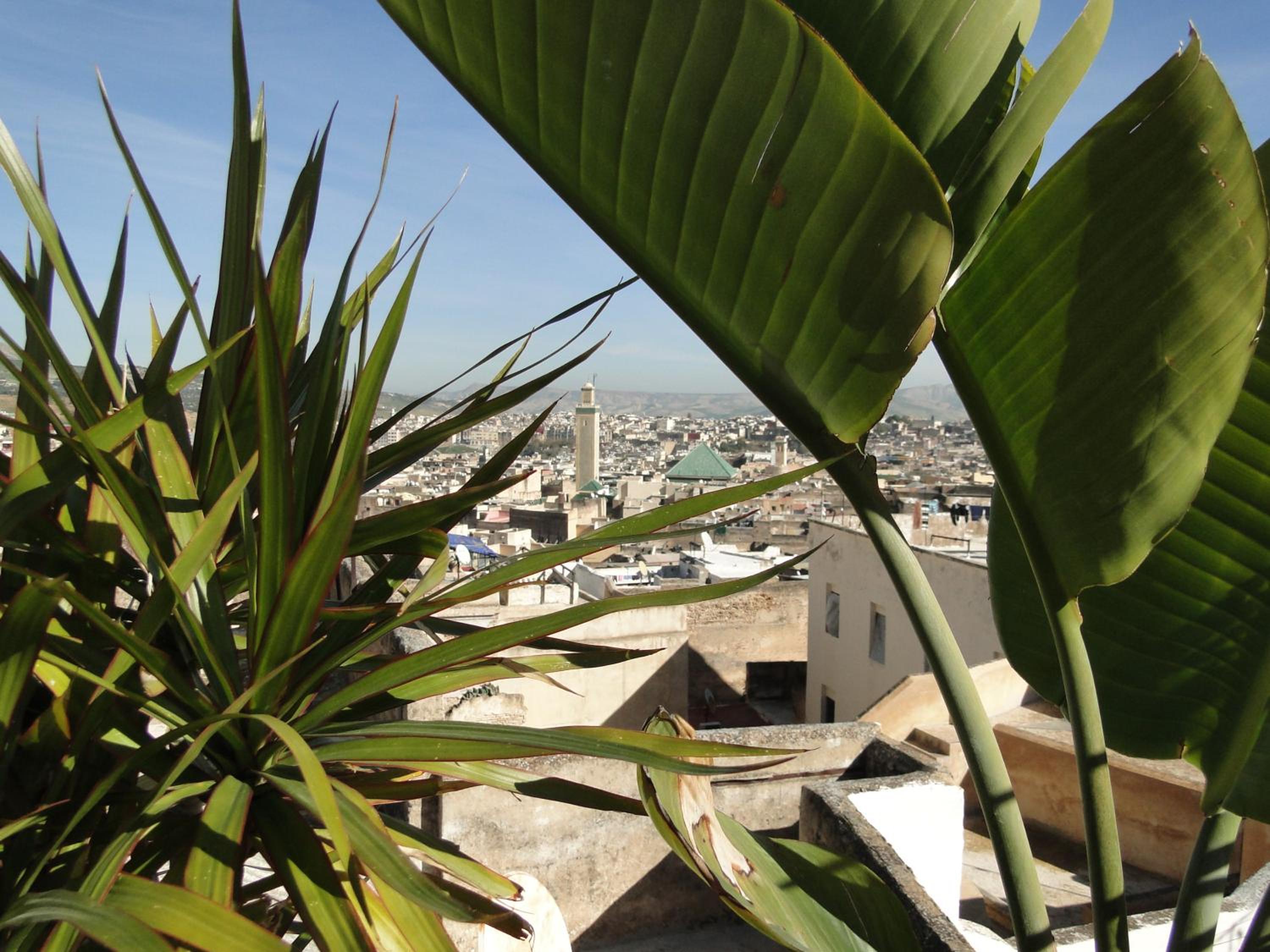 roof