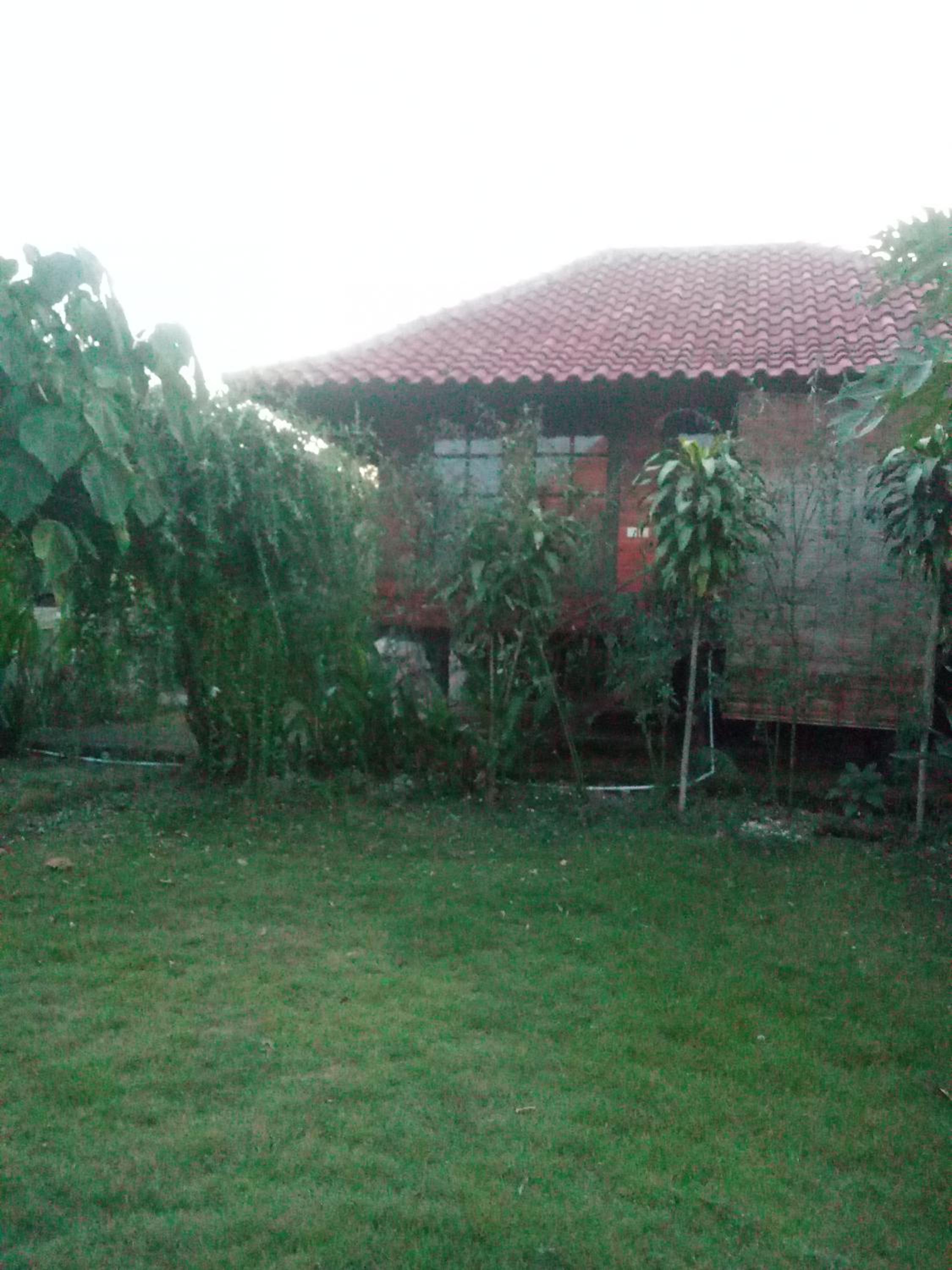 Pier26 Bali Homestay