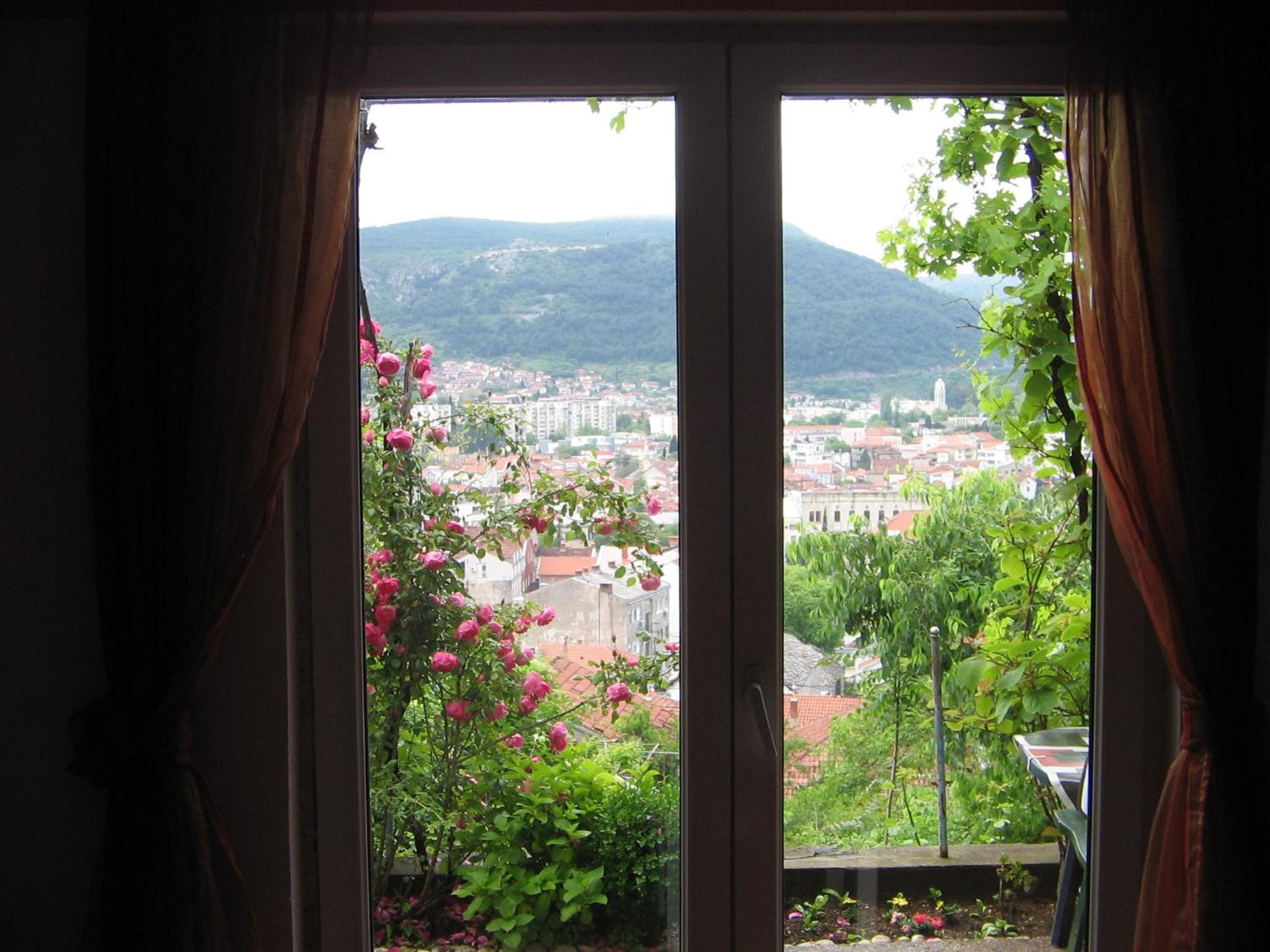 Guesthouse Panorama