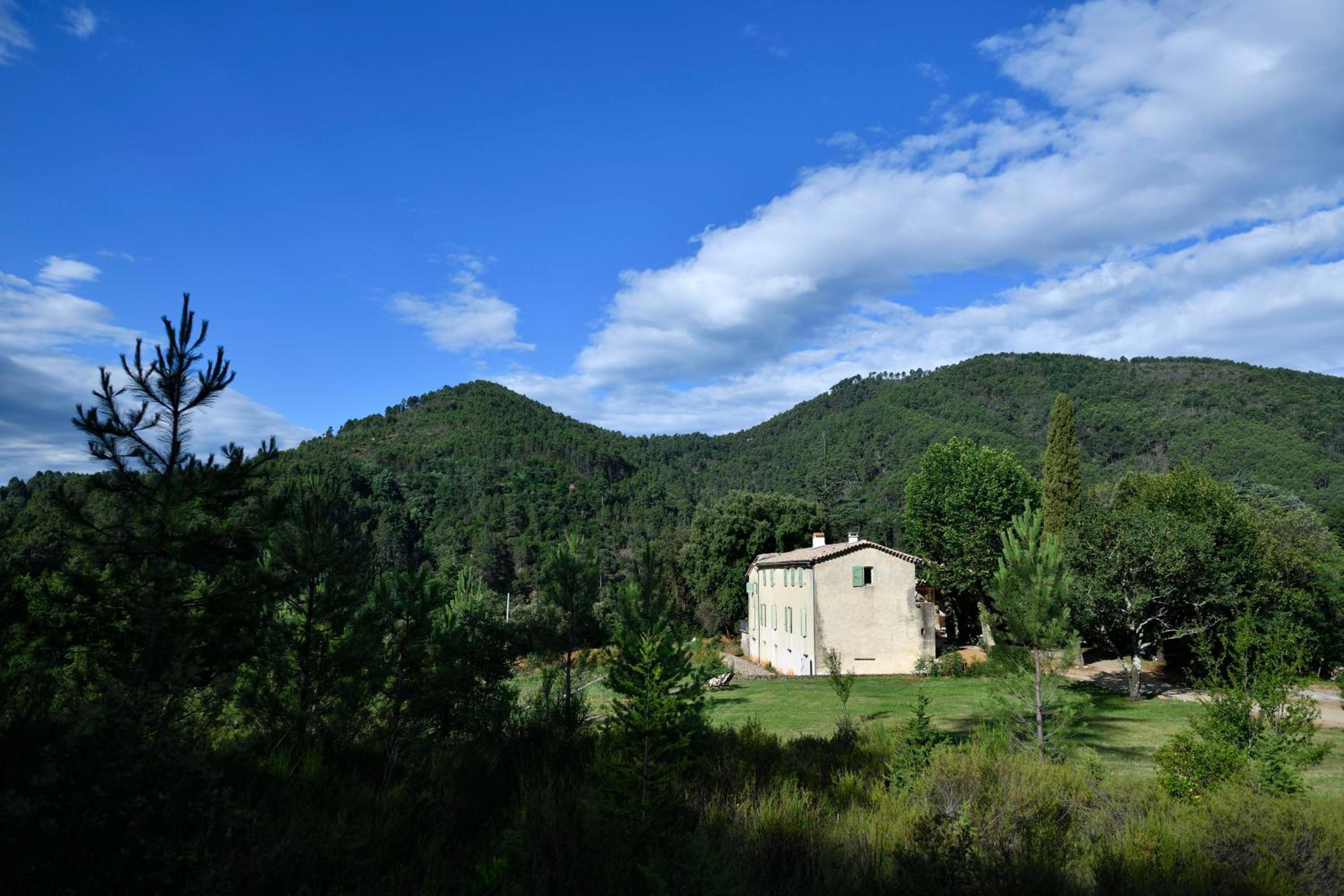 Photo 44
