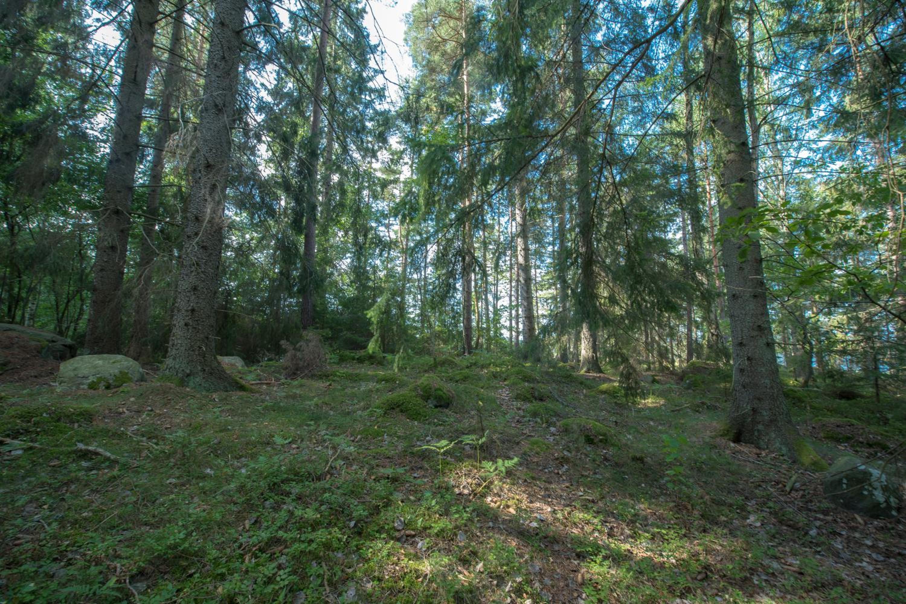 Photo 37