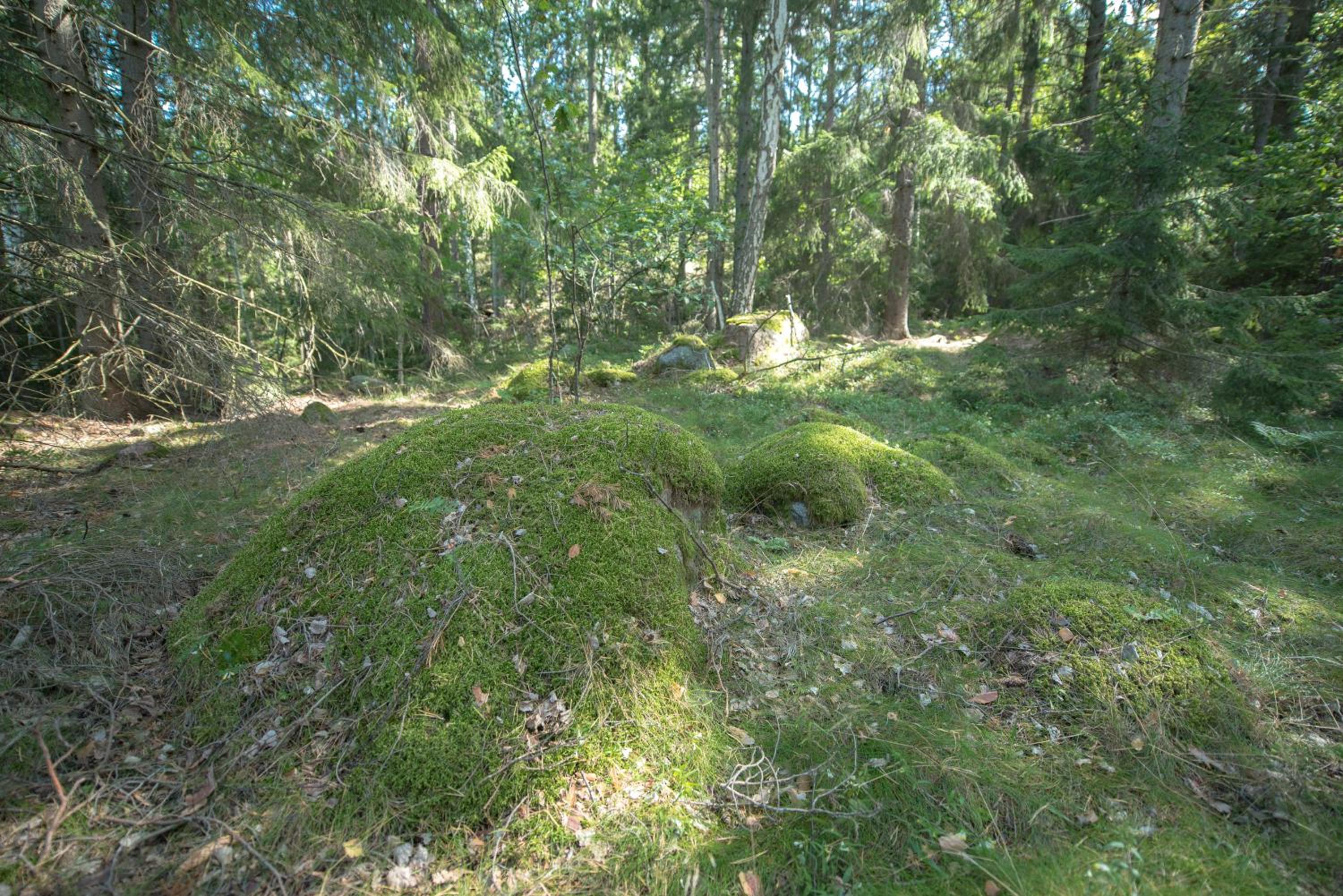 Photo 39