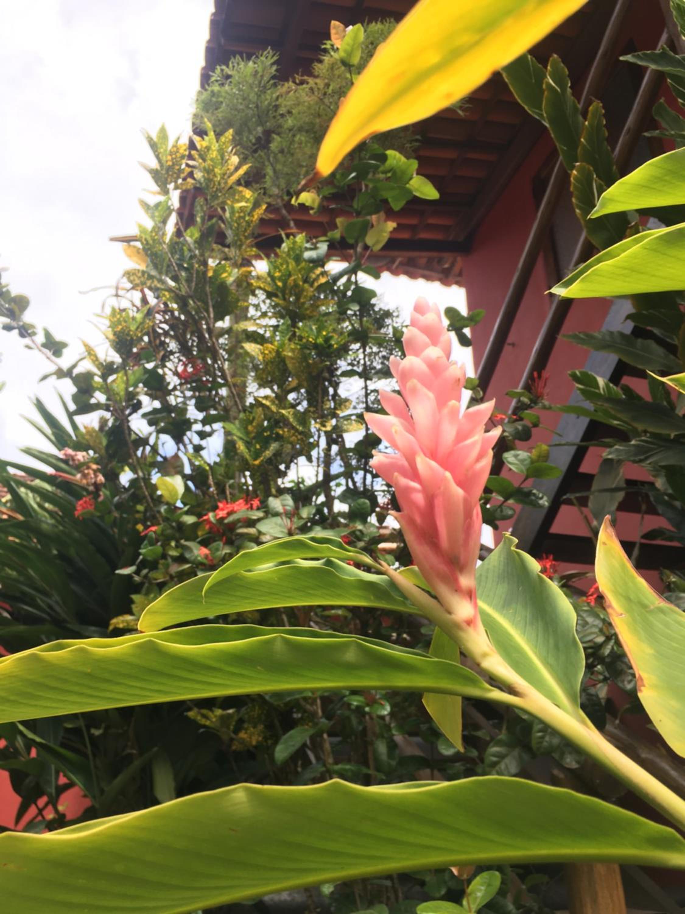 Vila Hibisco Itacaré