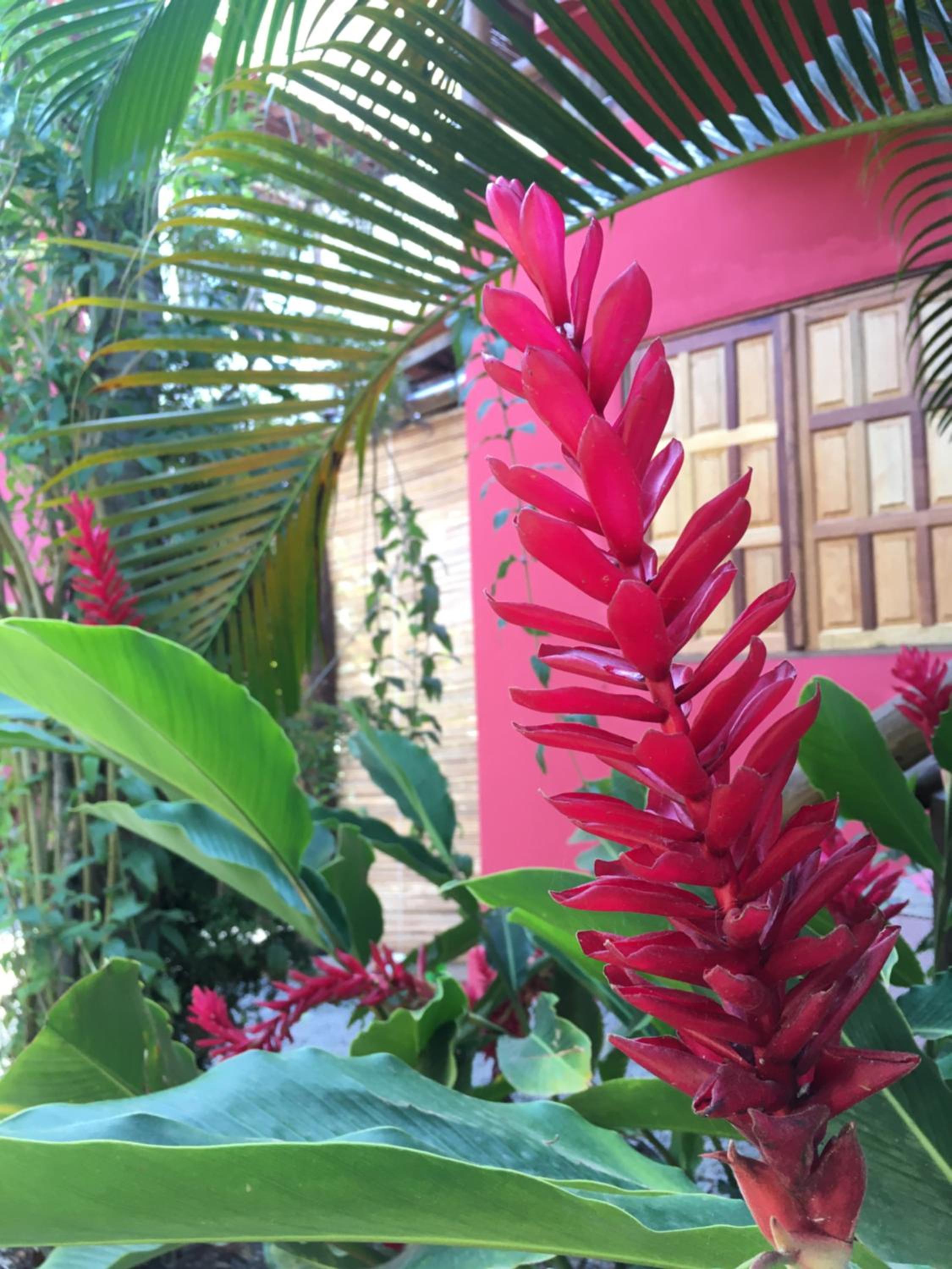 Vila Hibisco Itacaré