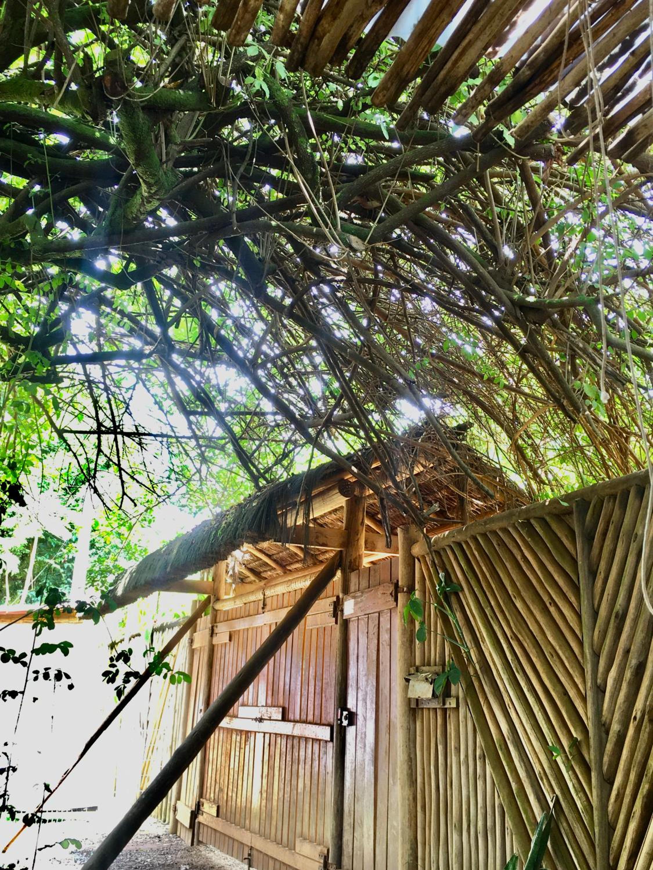 Vila Hibisco Itacaré