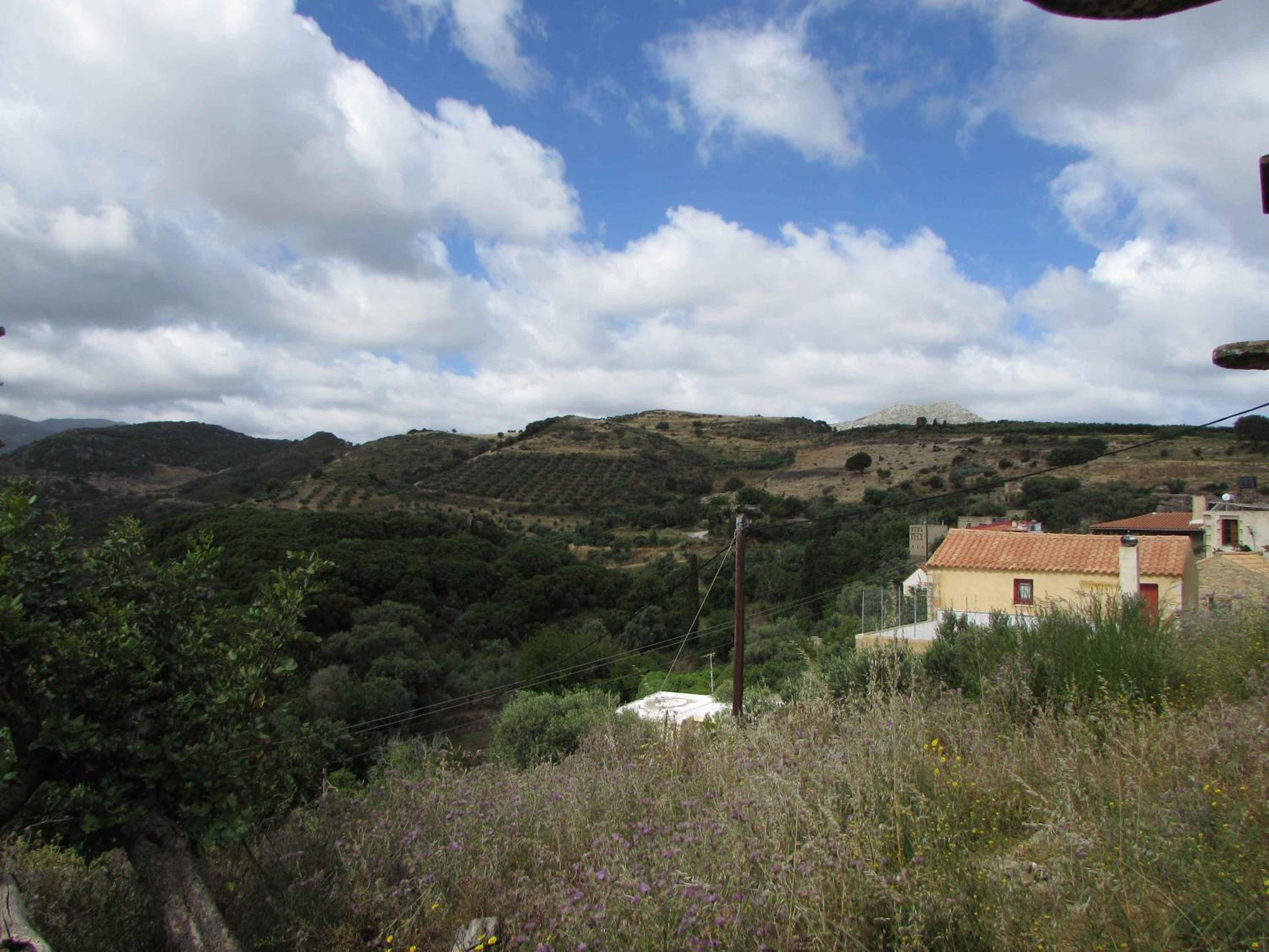 Photo 43
