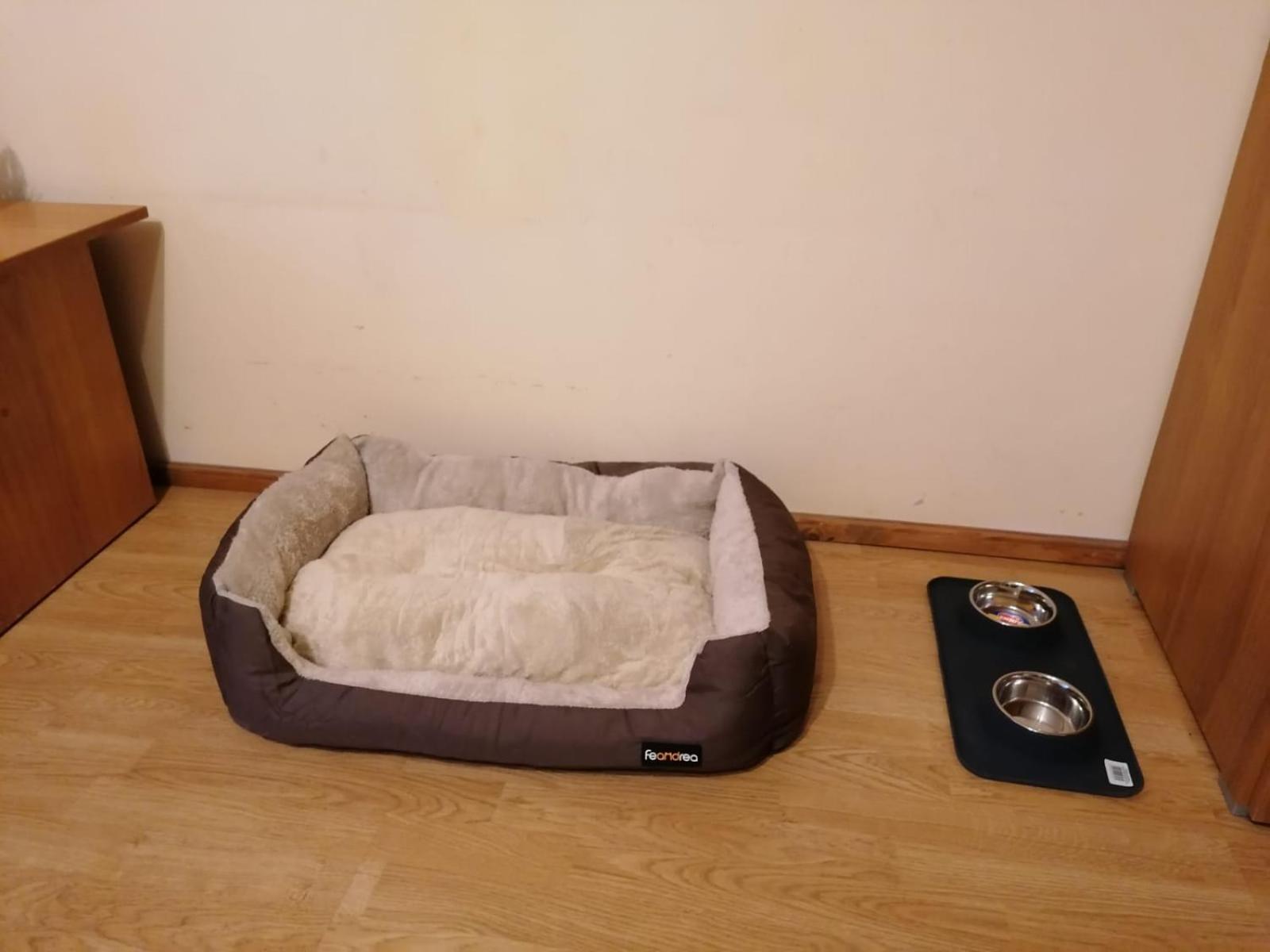 Photo 52