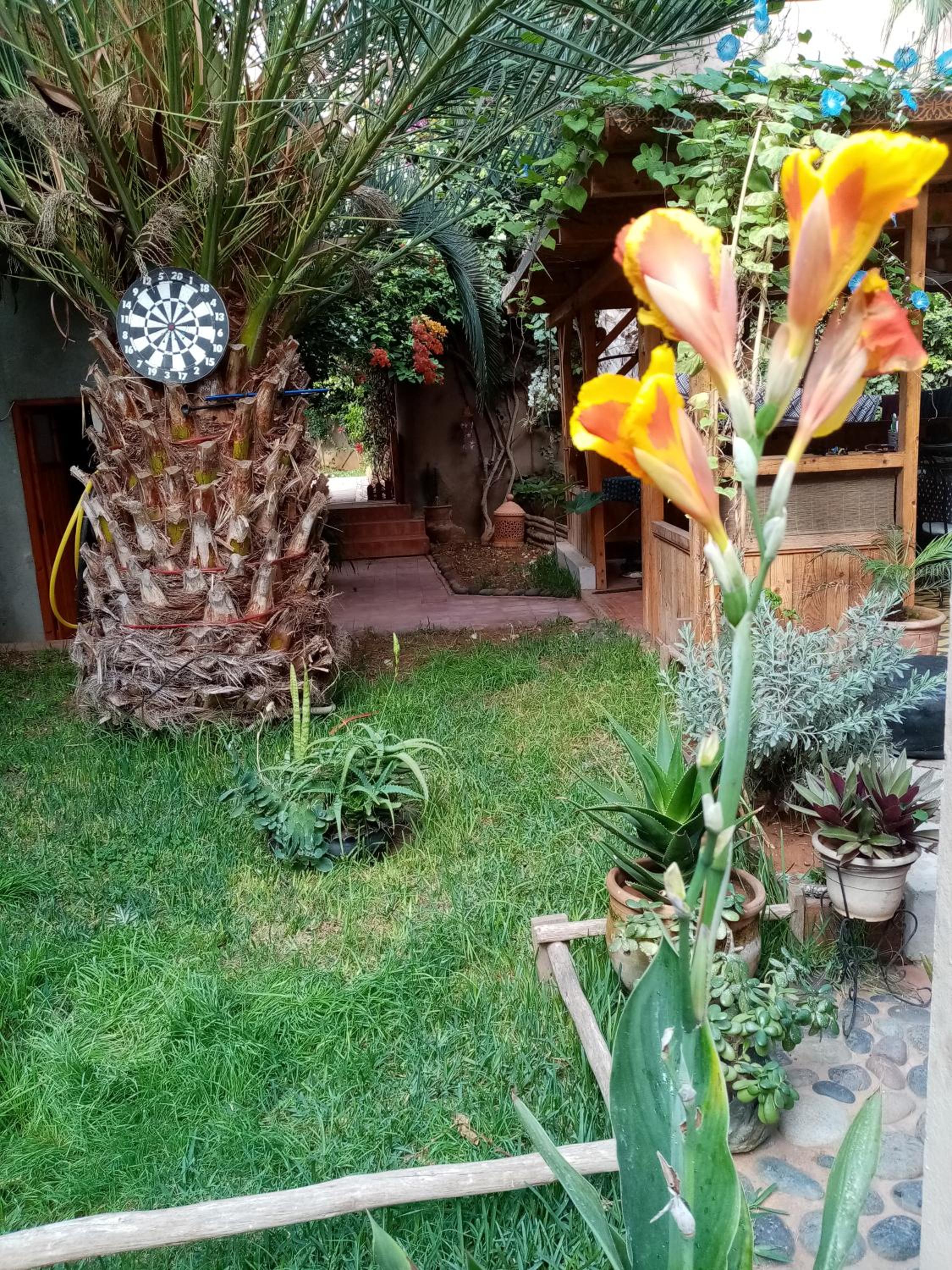 Photo 6