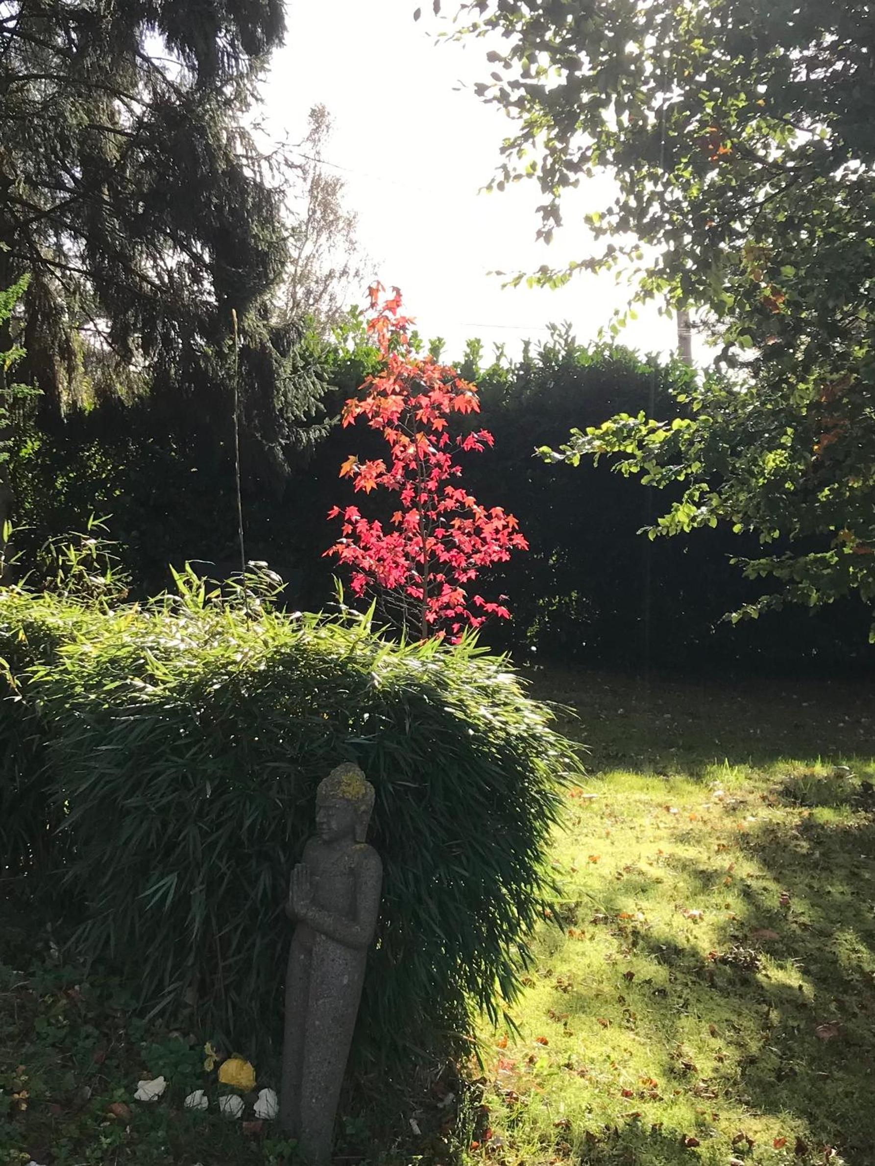 Photo 29
