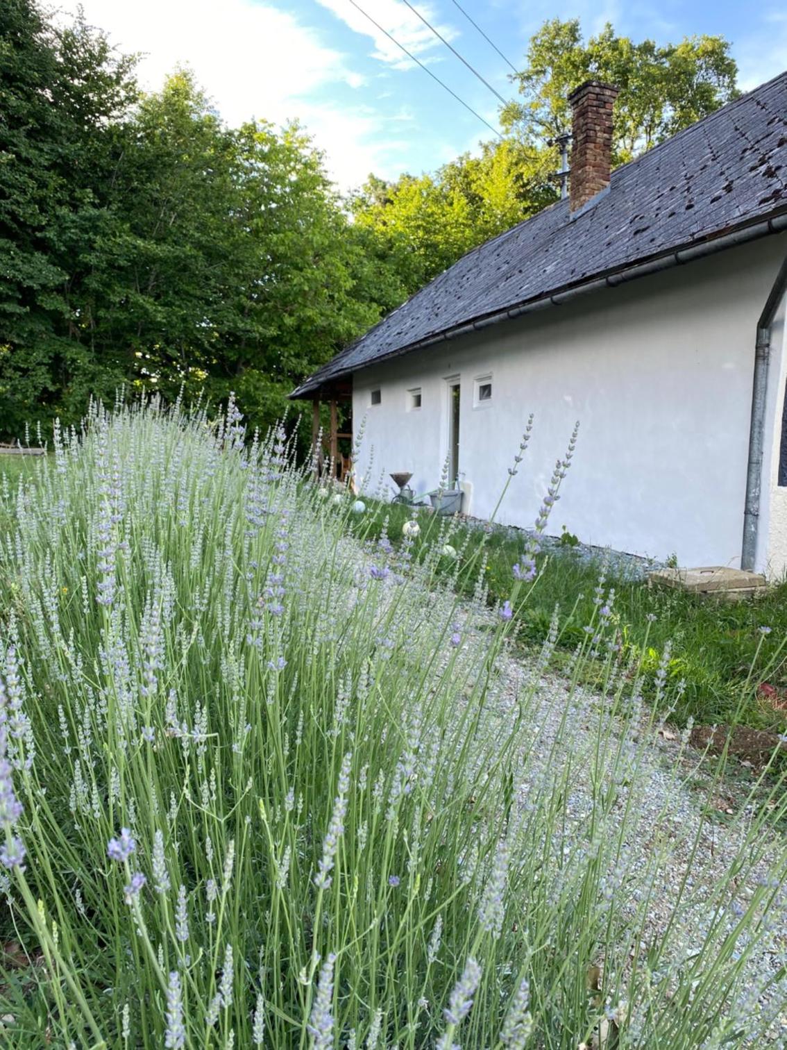 Altes Landhaus Südburgenland