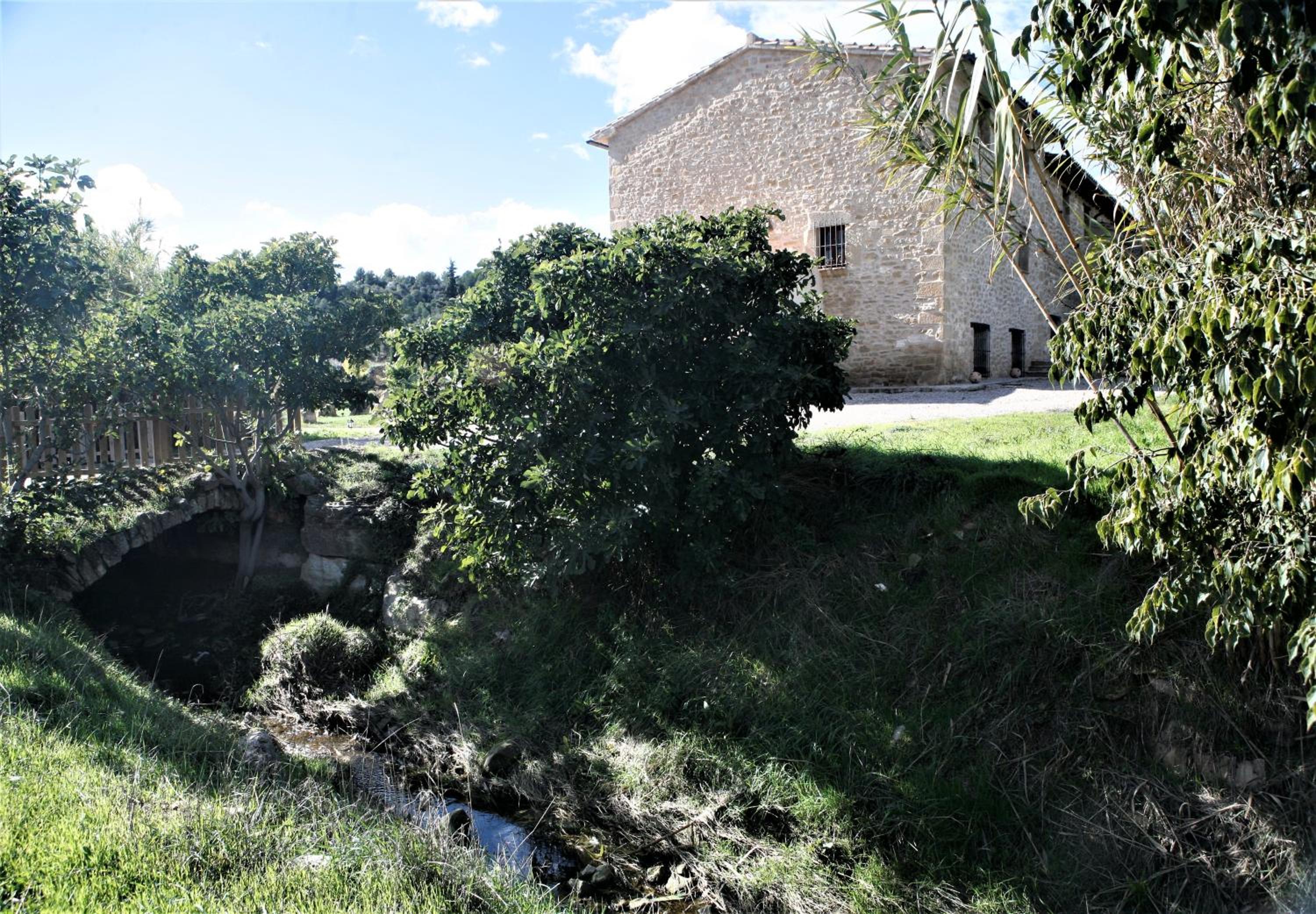 Hort de L'Aubert view 5