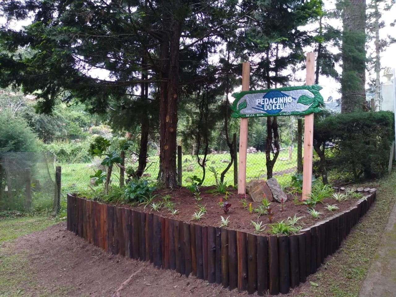 Photo 42