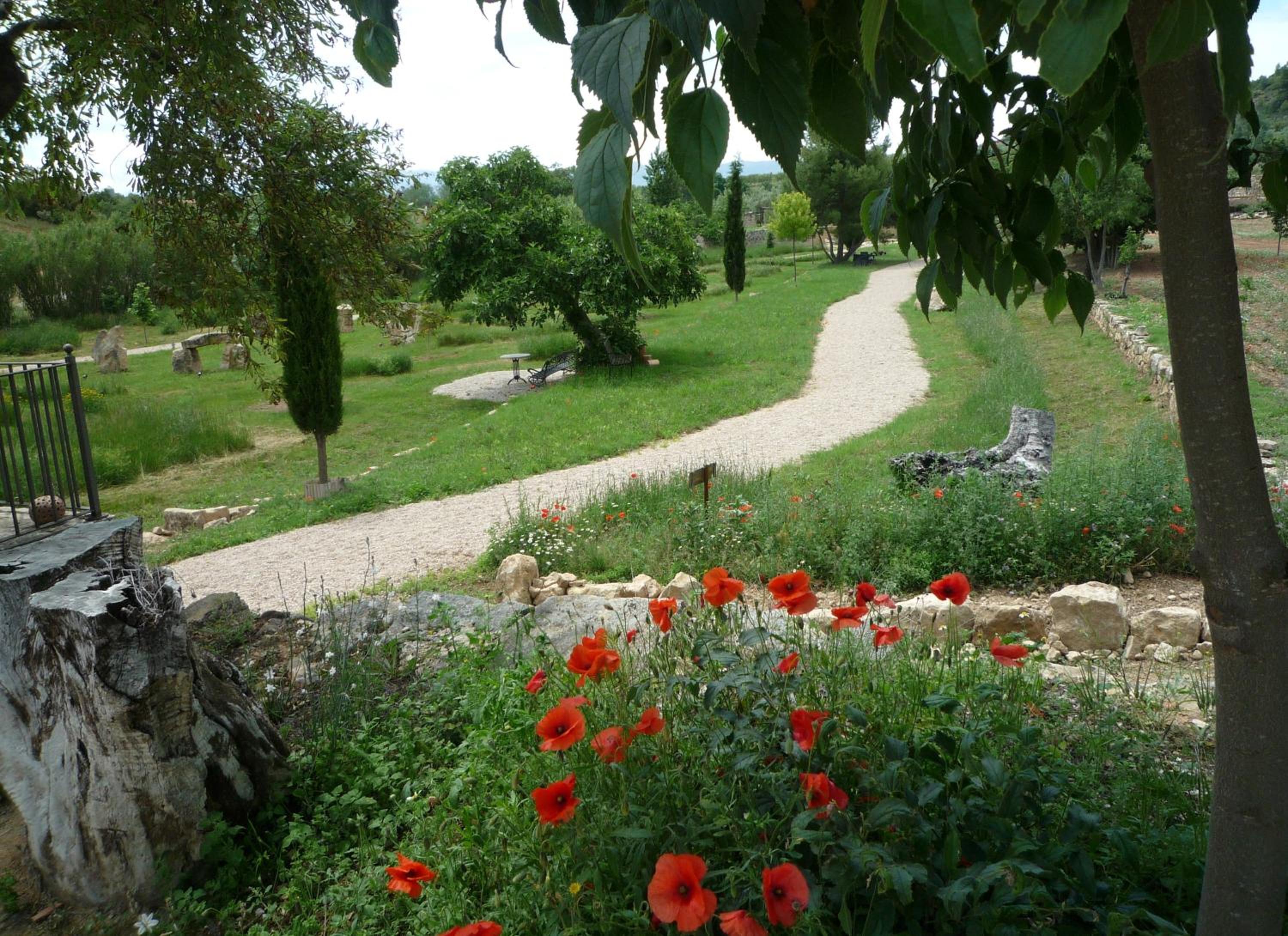 Photo 40