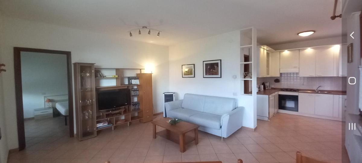 casa camelie photo 4