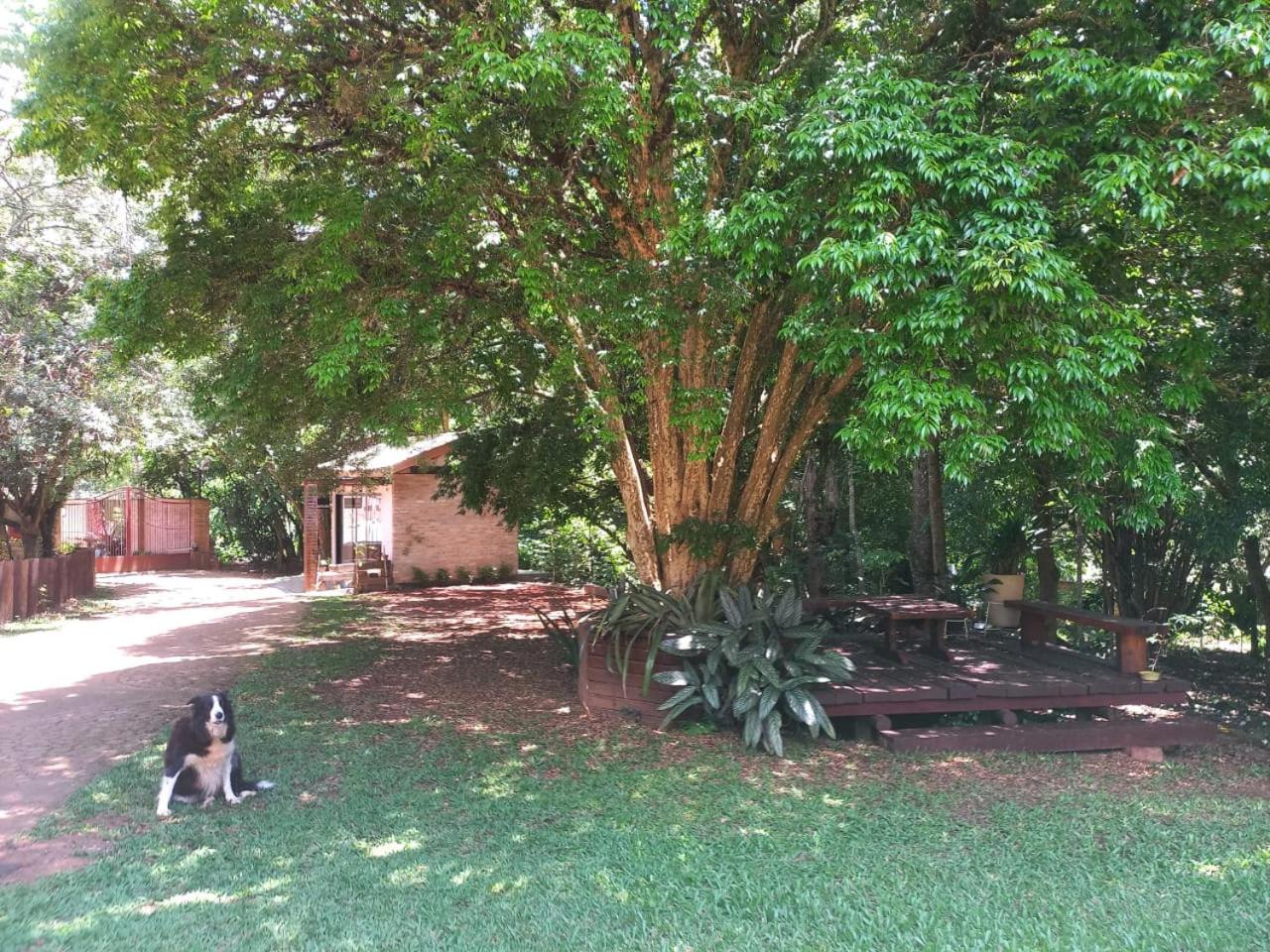Photo 7