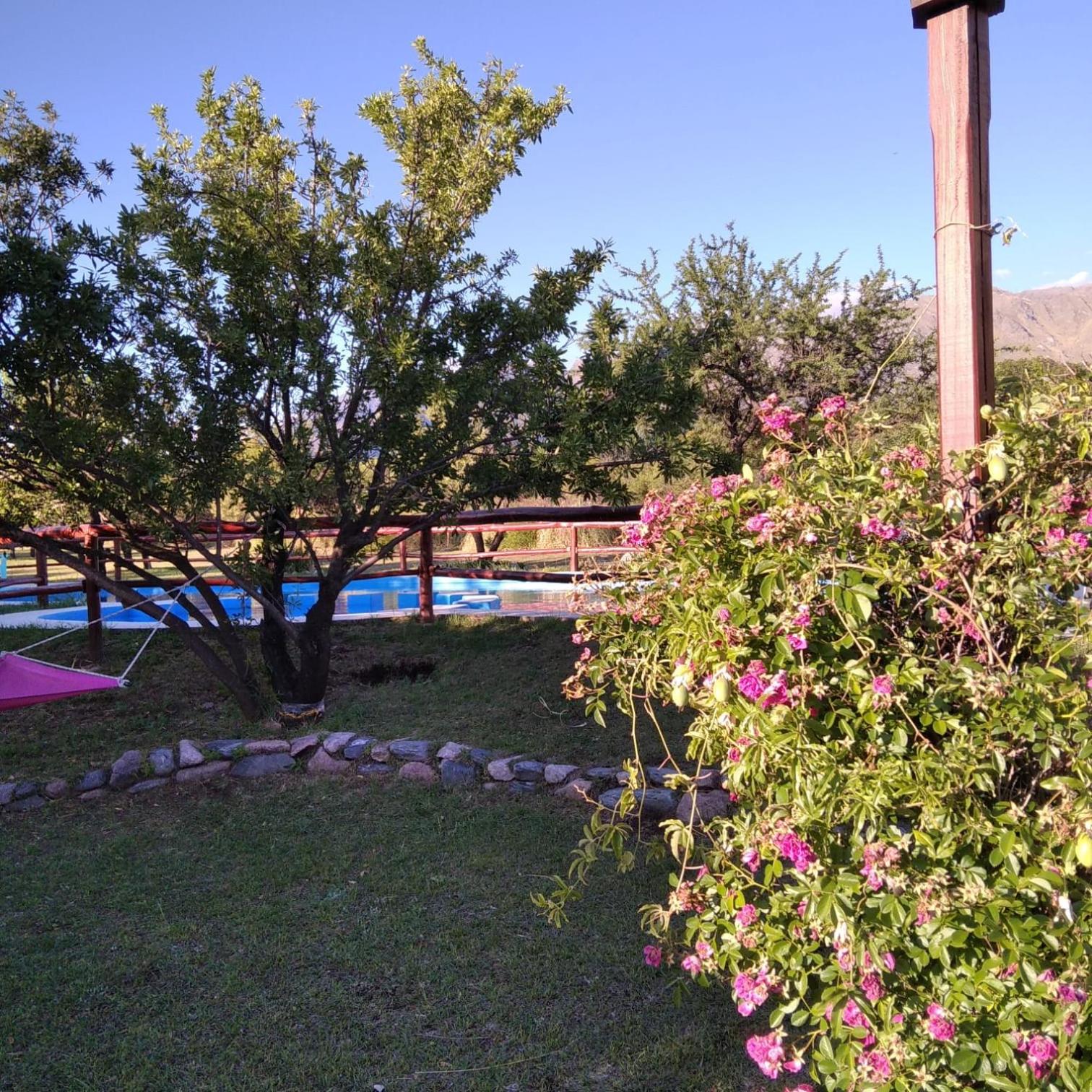 Cabañas Yanasuy