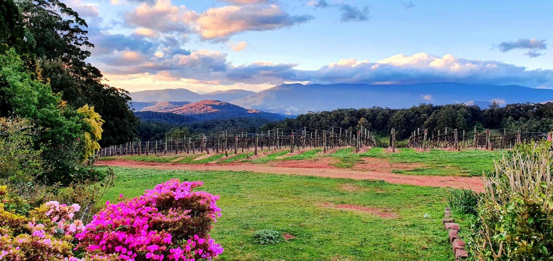 KiNam Vinea - A Vineyard Farmhouse in the Yarra Valley
