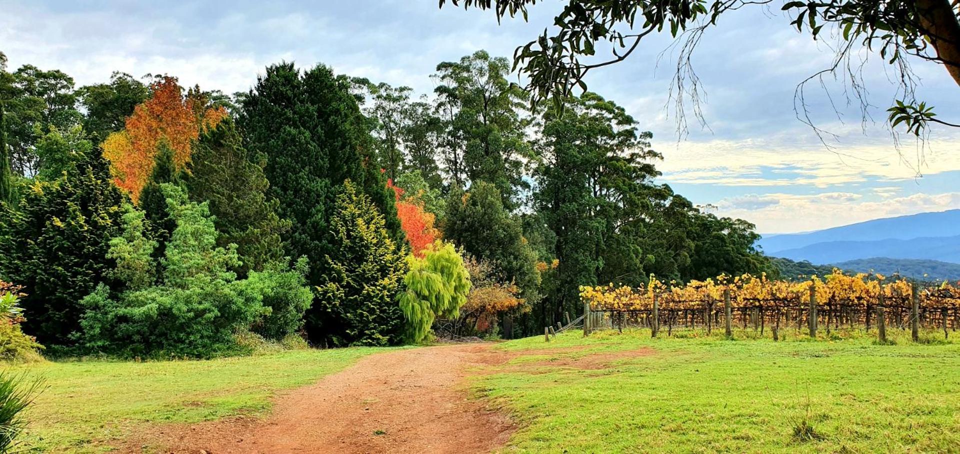 KiNam Vinea - A Vineyard Farmhouse in the Yarra Valley