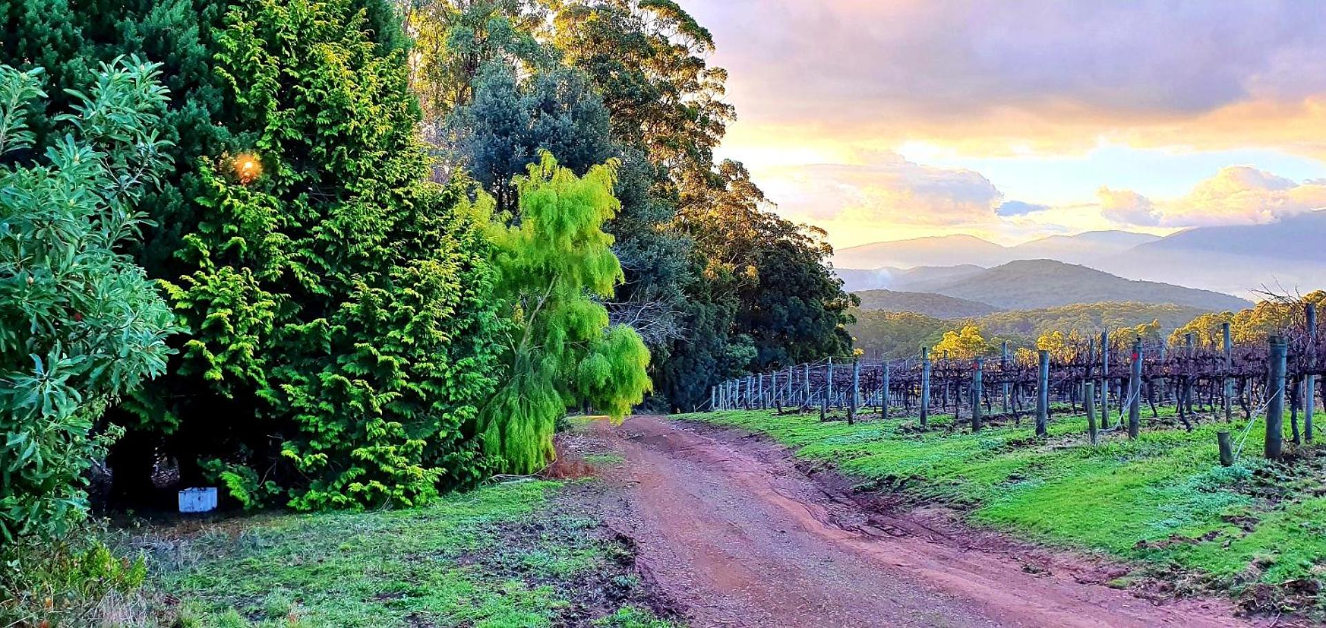KiNam Vinea - A Vineyard Farmhouse in the Yarra Valley