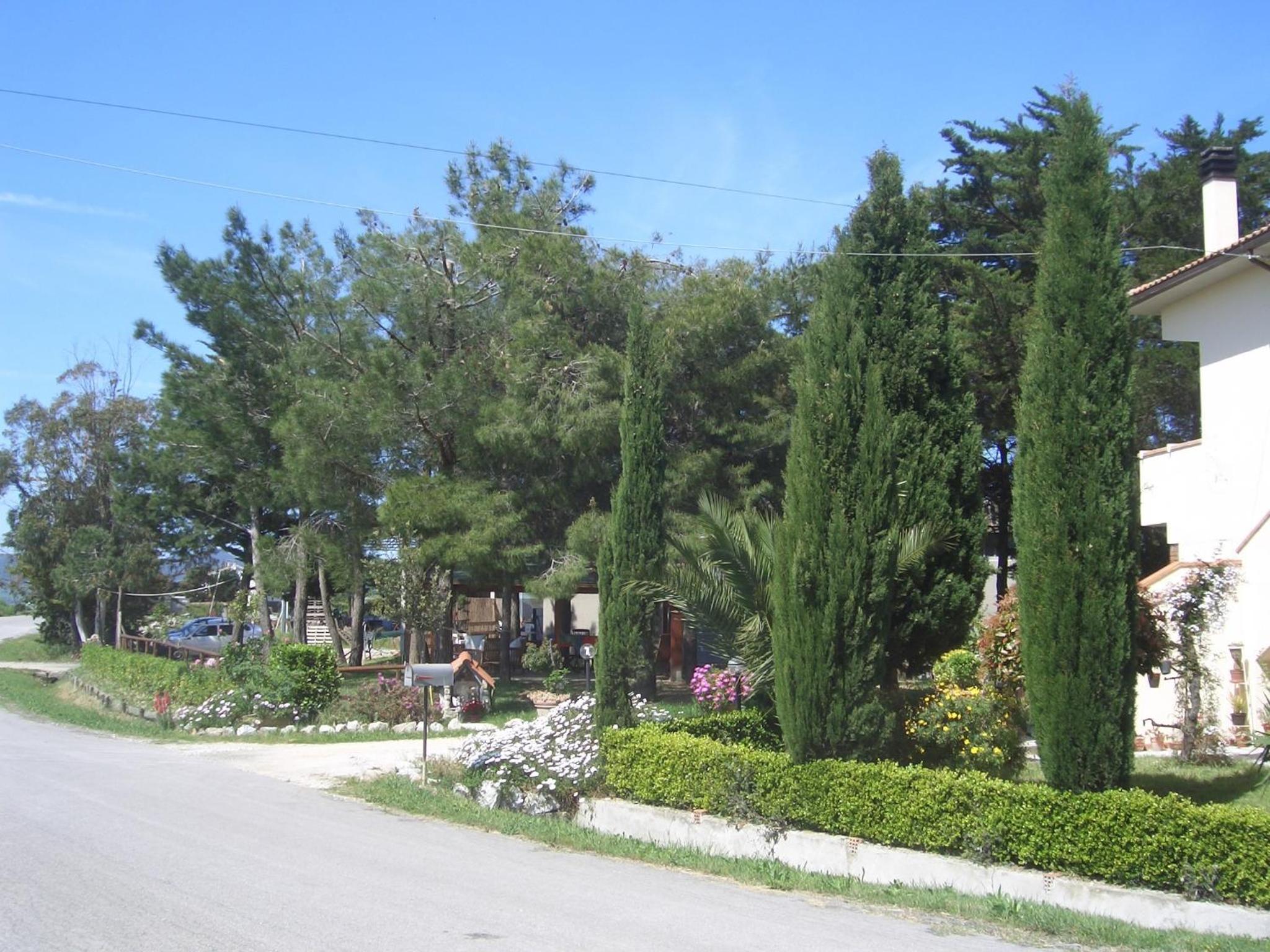 Photo 23