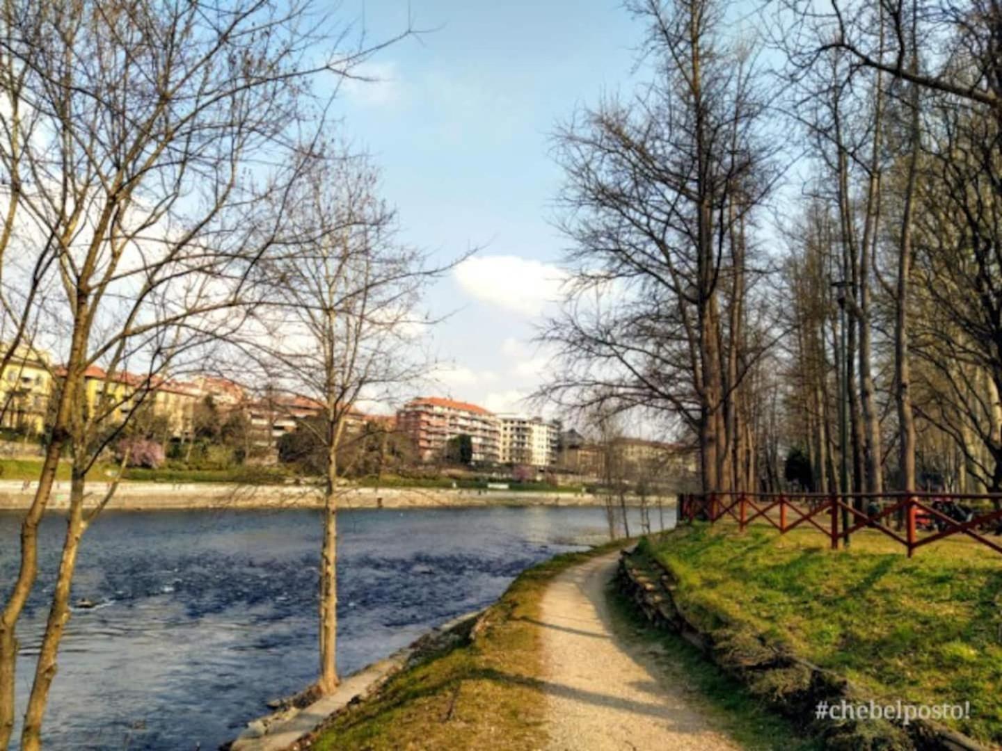 Piccola casa nel cuore di Torino view 5
