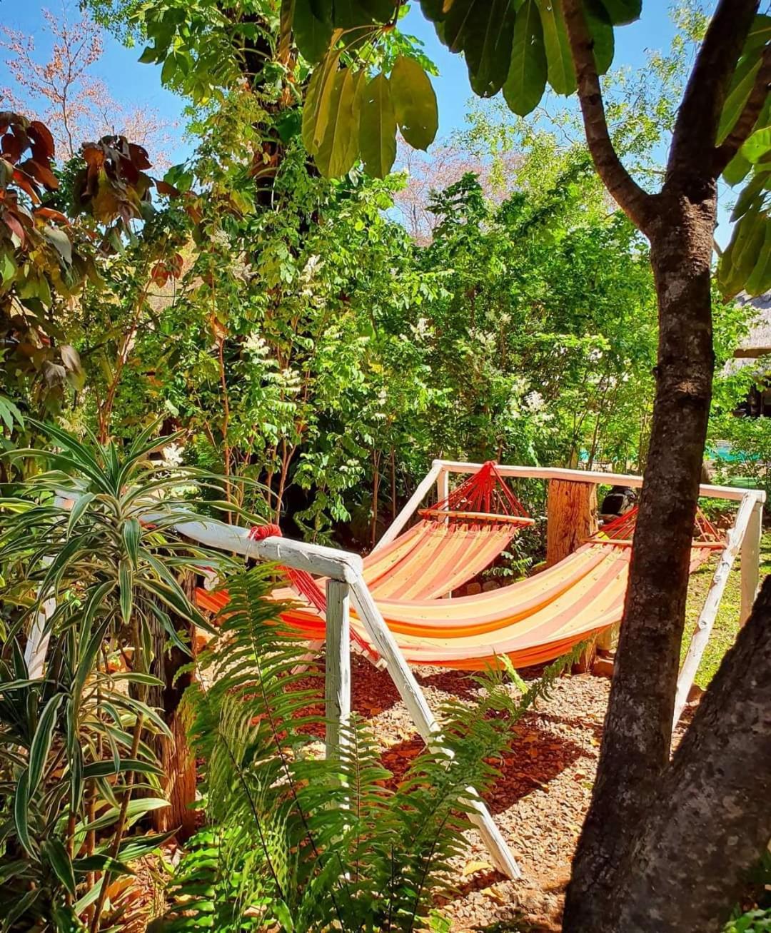 Victoria Falls Backpackers Lodge