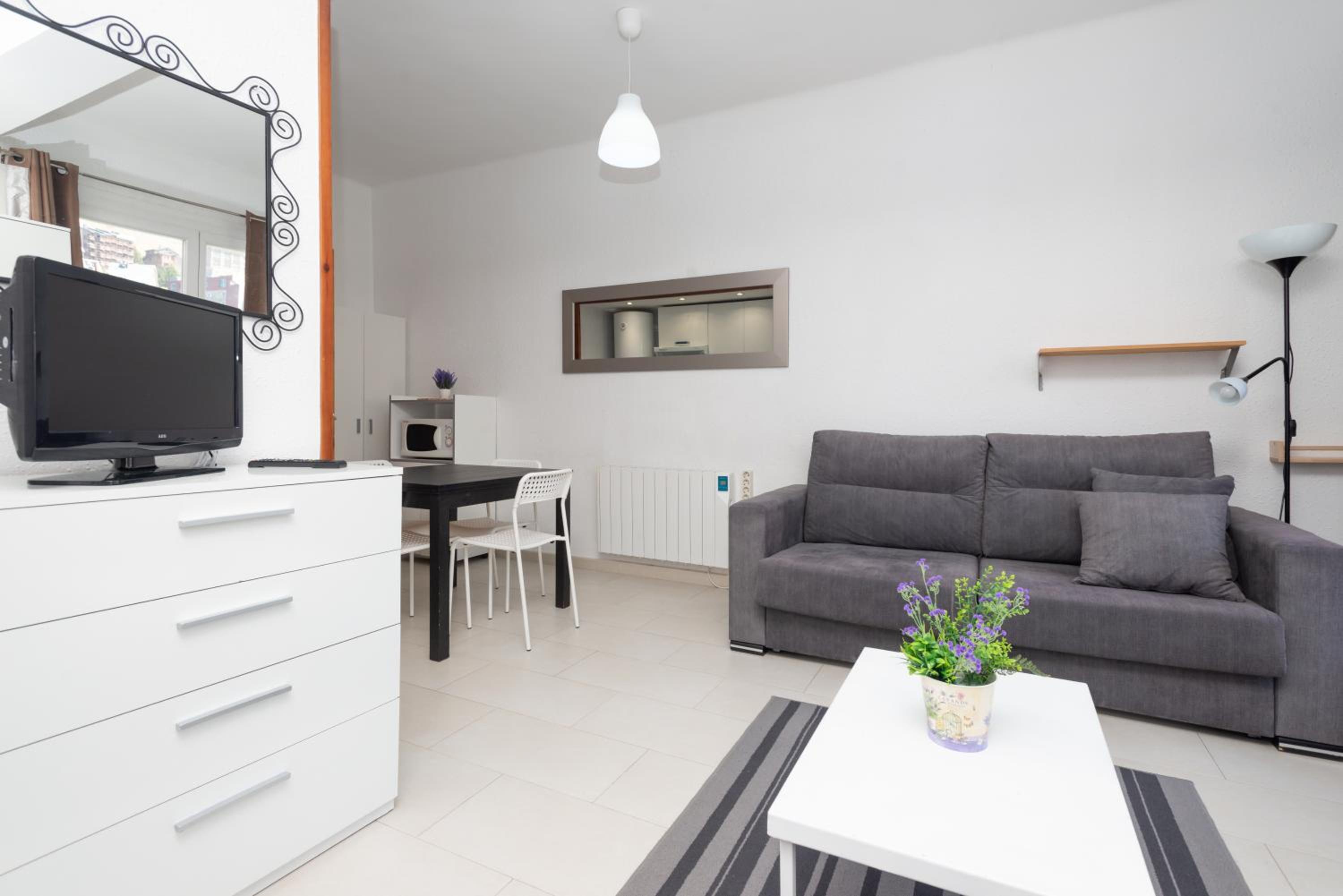 Apartamentos Pie de Pistas MIKKA