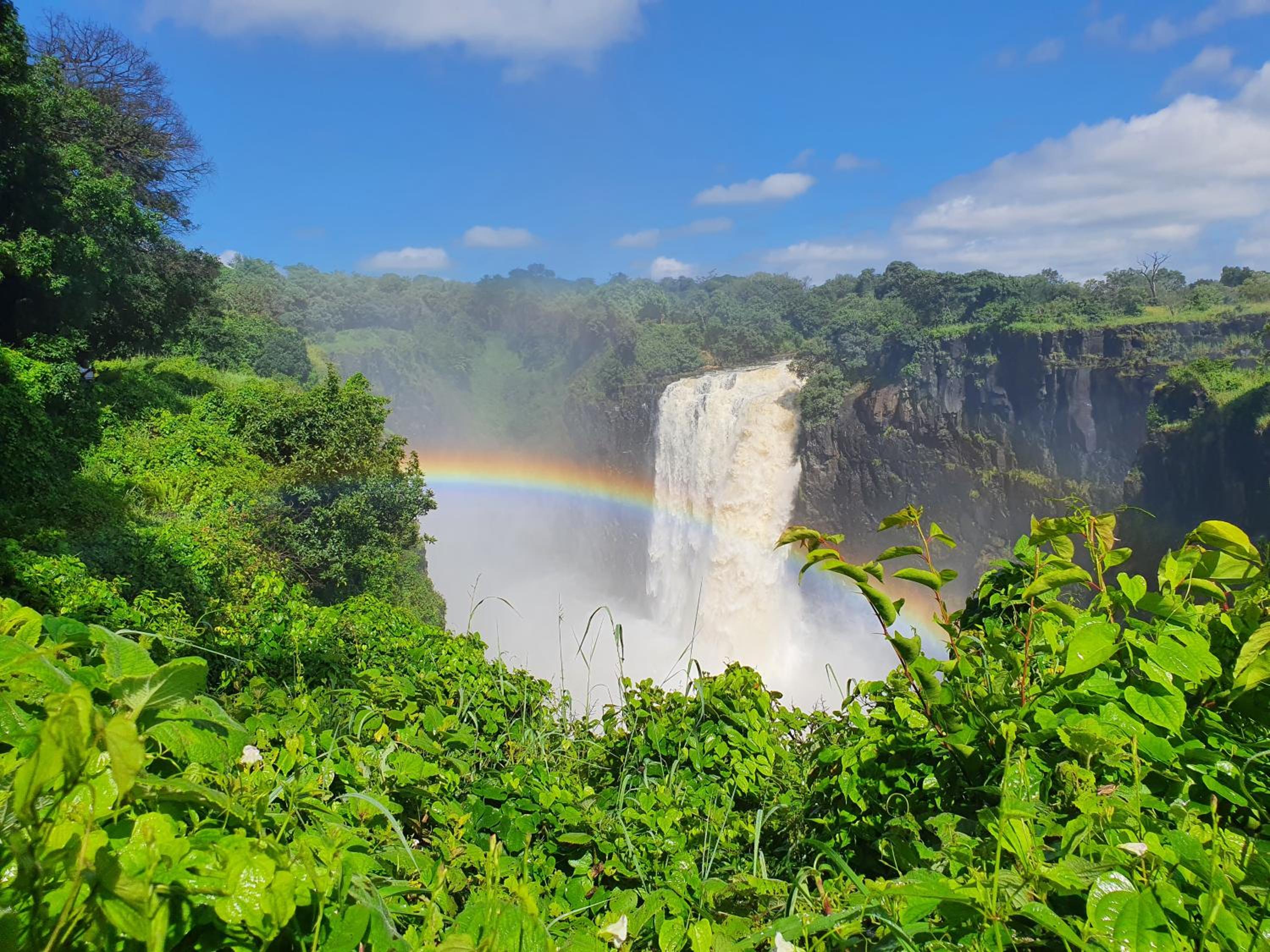 Victoria Falls Backpackers Lodge