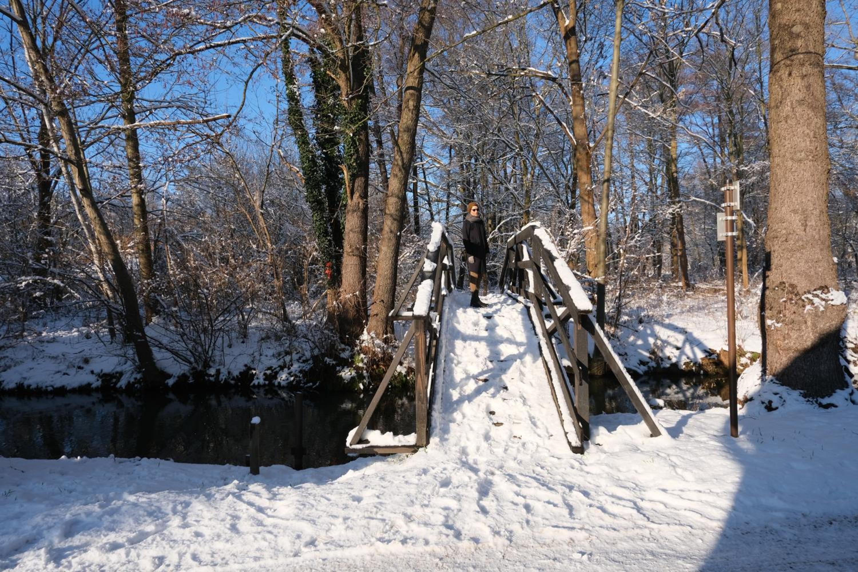 Photo 40