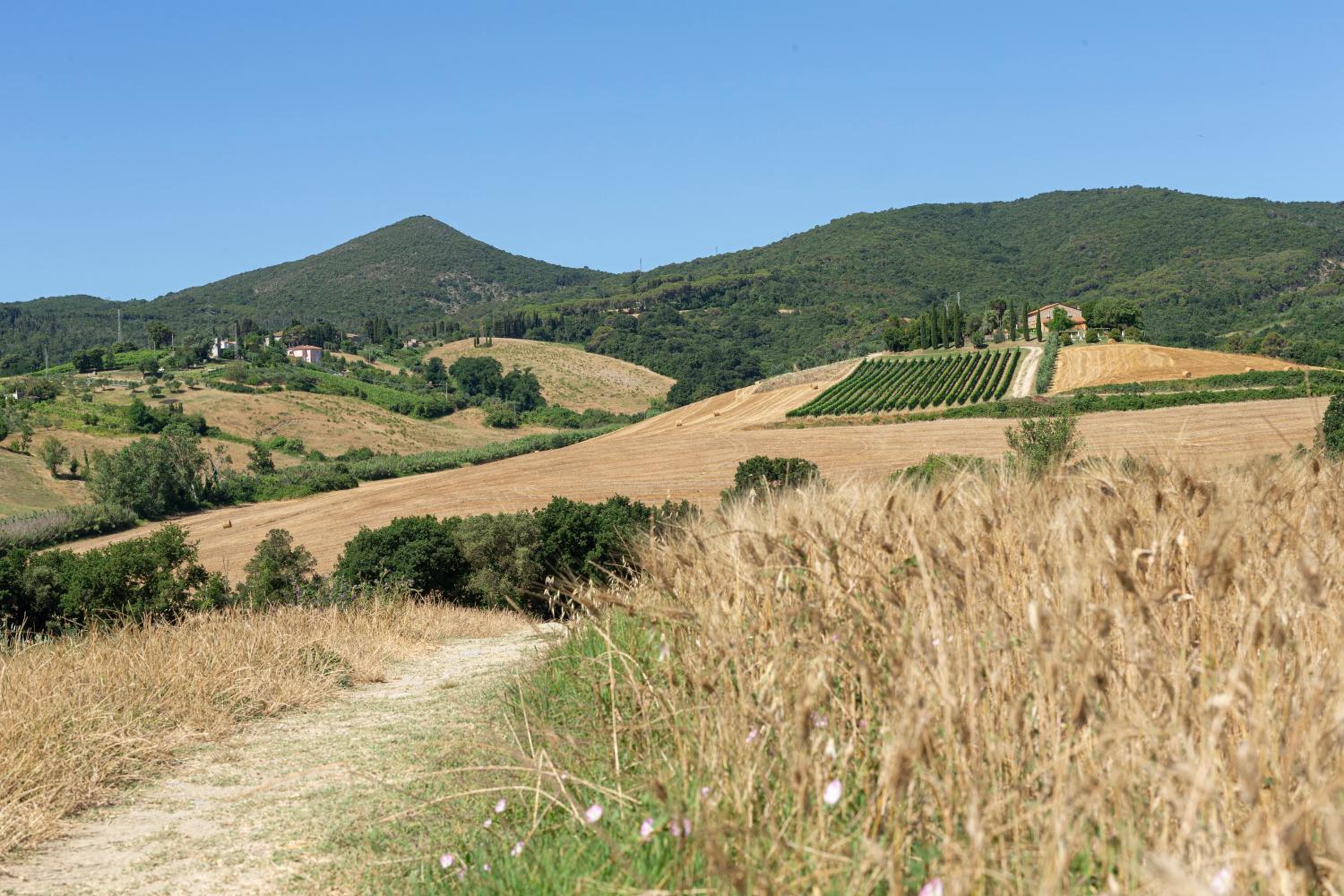 Agriturismo Cappellese