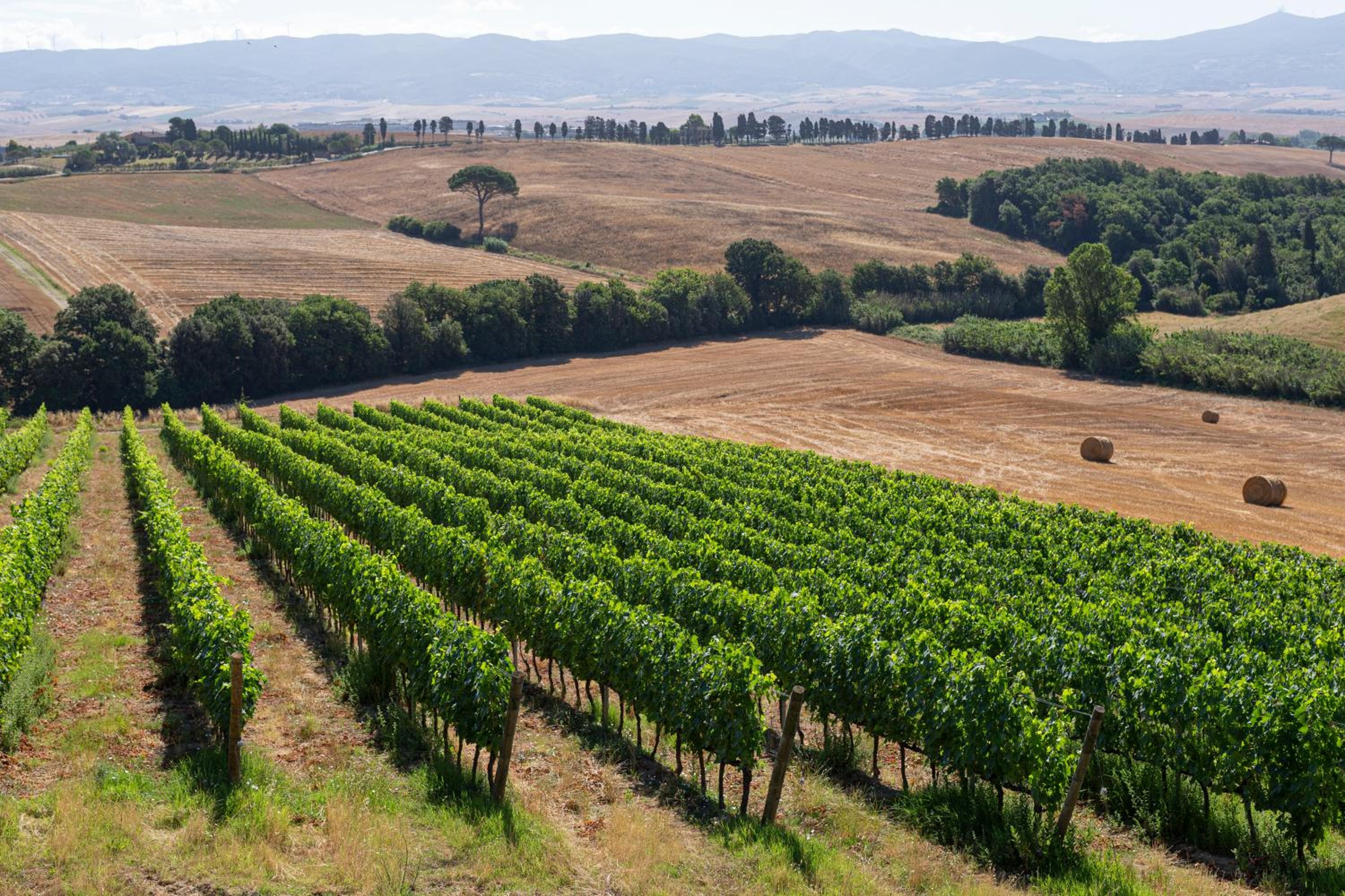 Agriturismo Cappellese