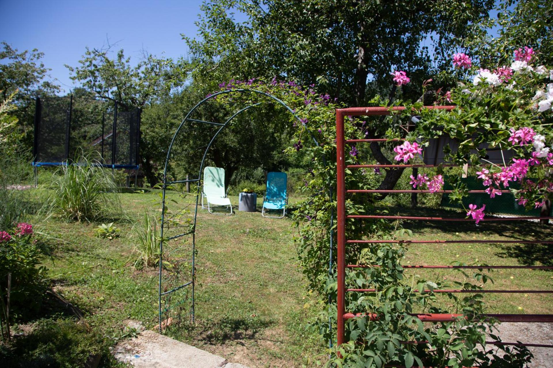 Photo 26