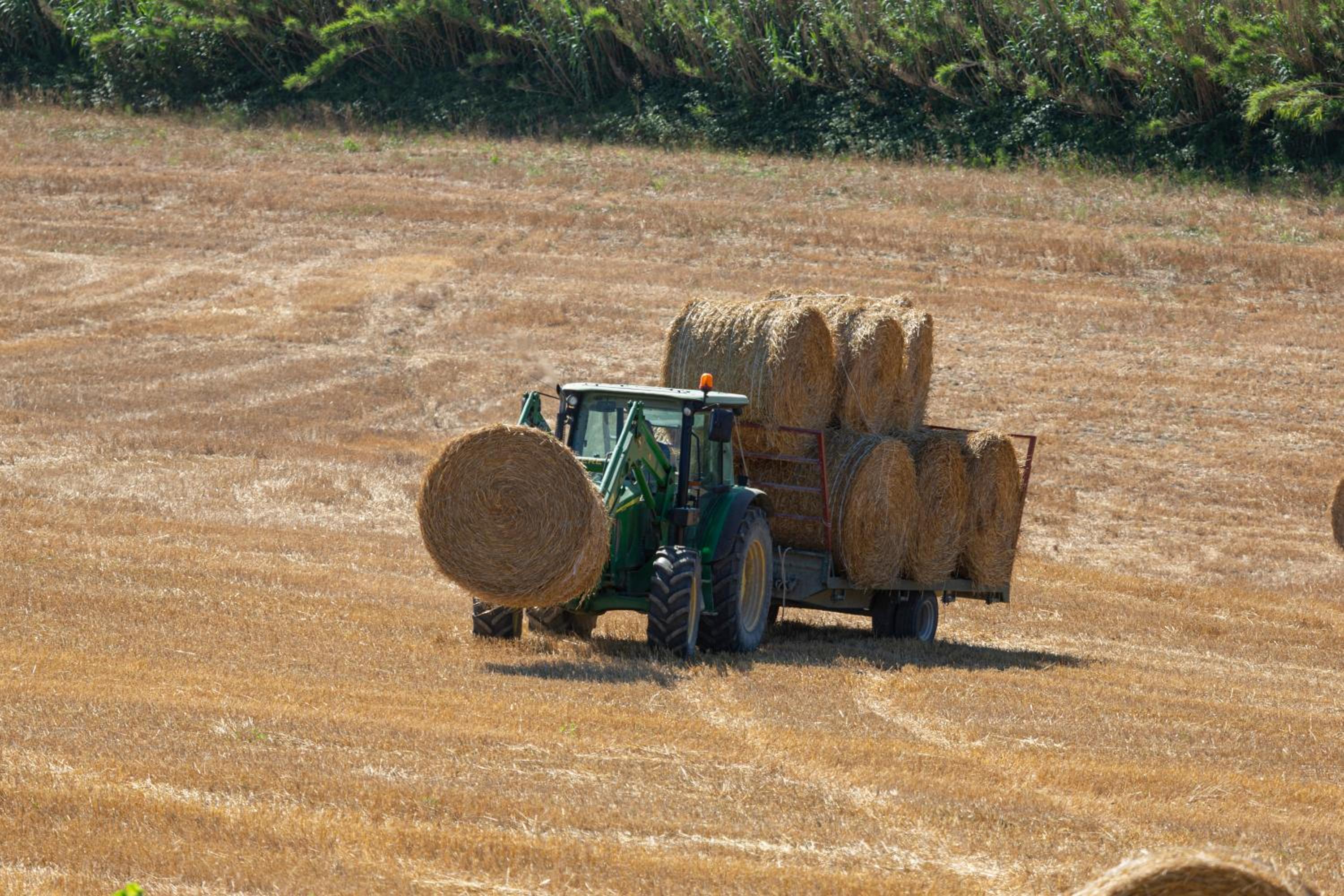 Agriturismo Cappellese