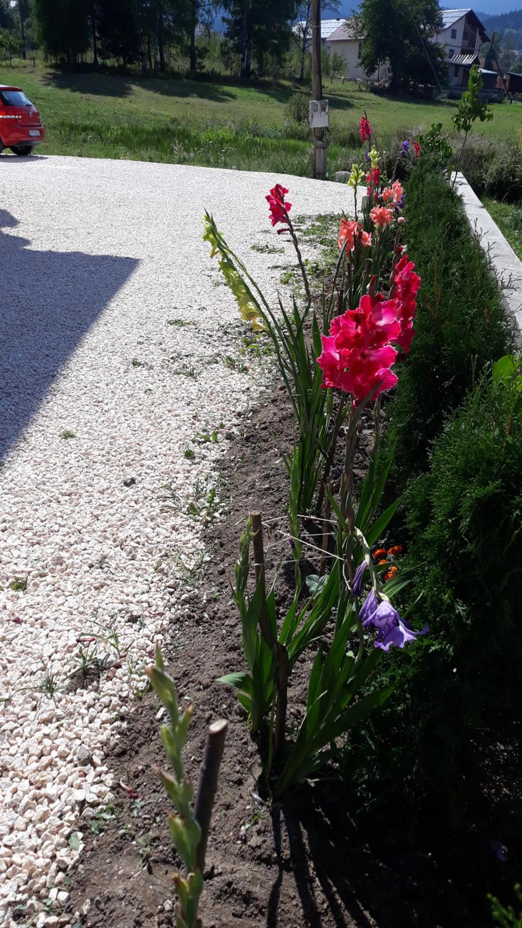 Photo 34