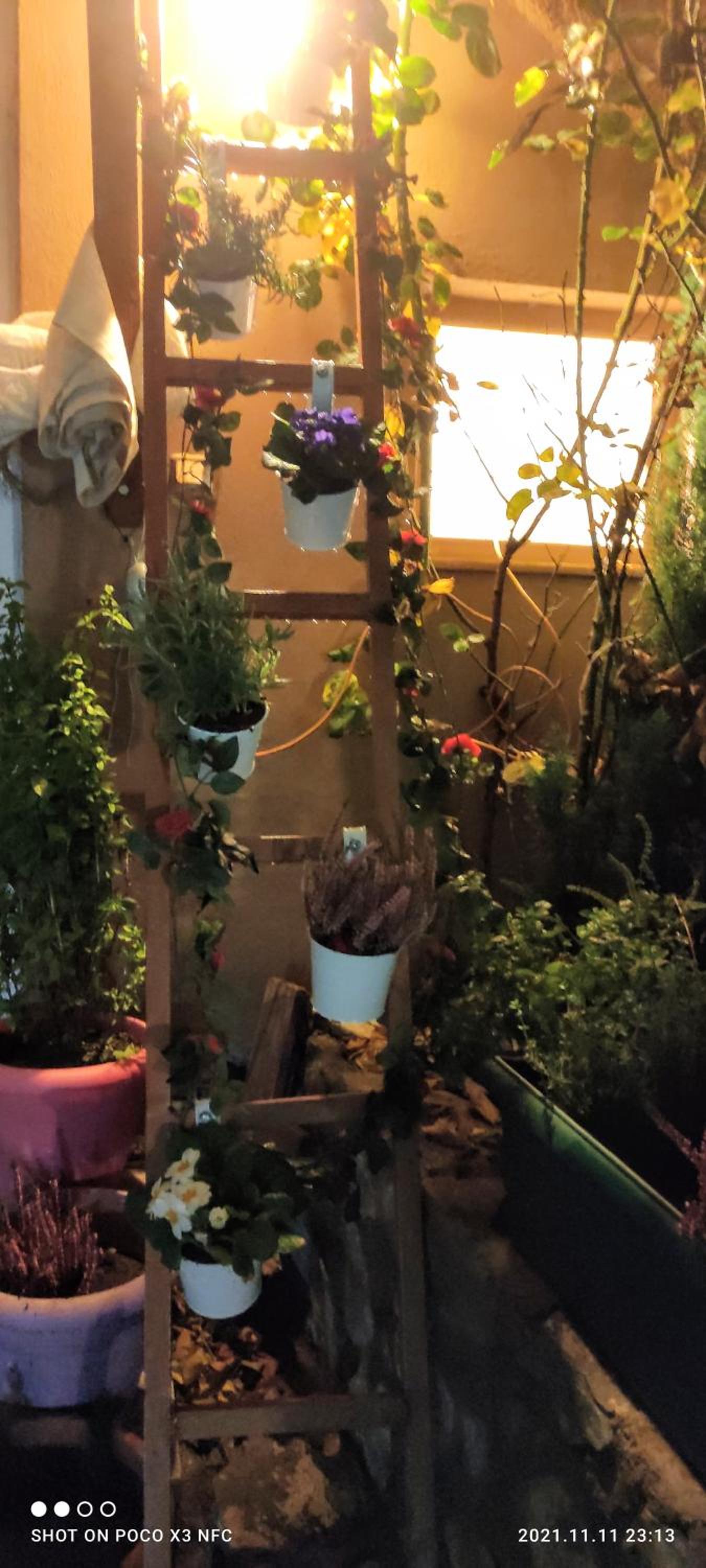 Photo 34
