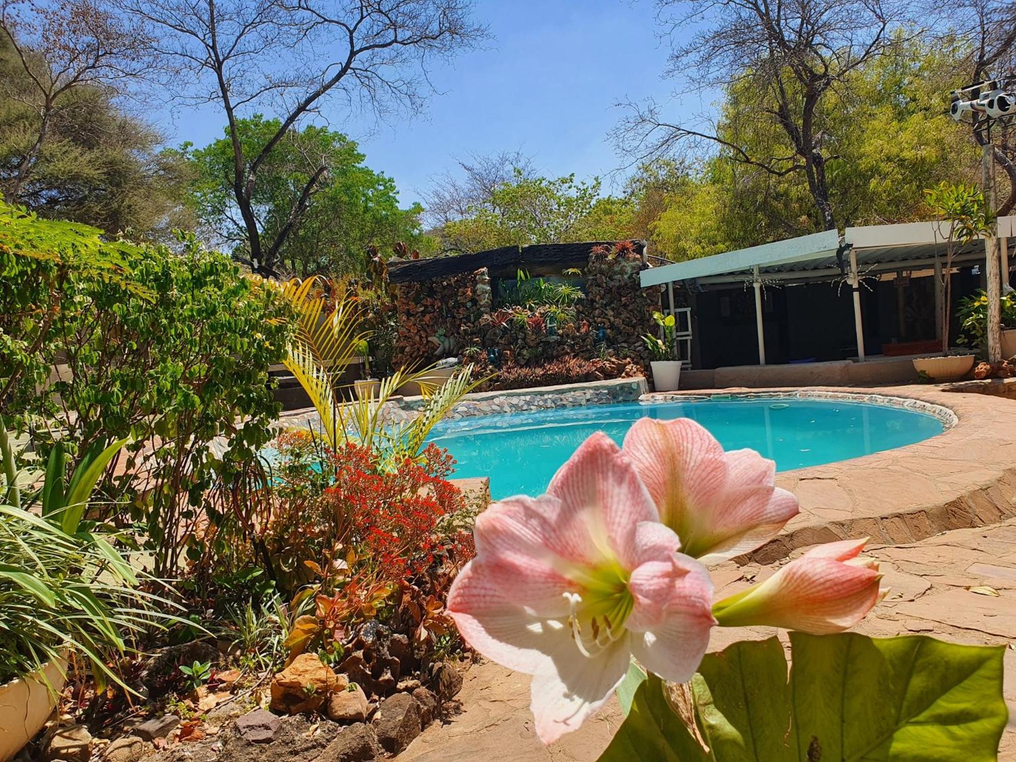 Victoria Falls Backpackers Lodge