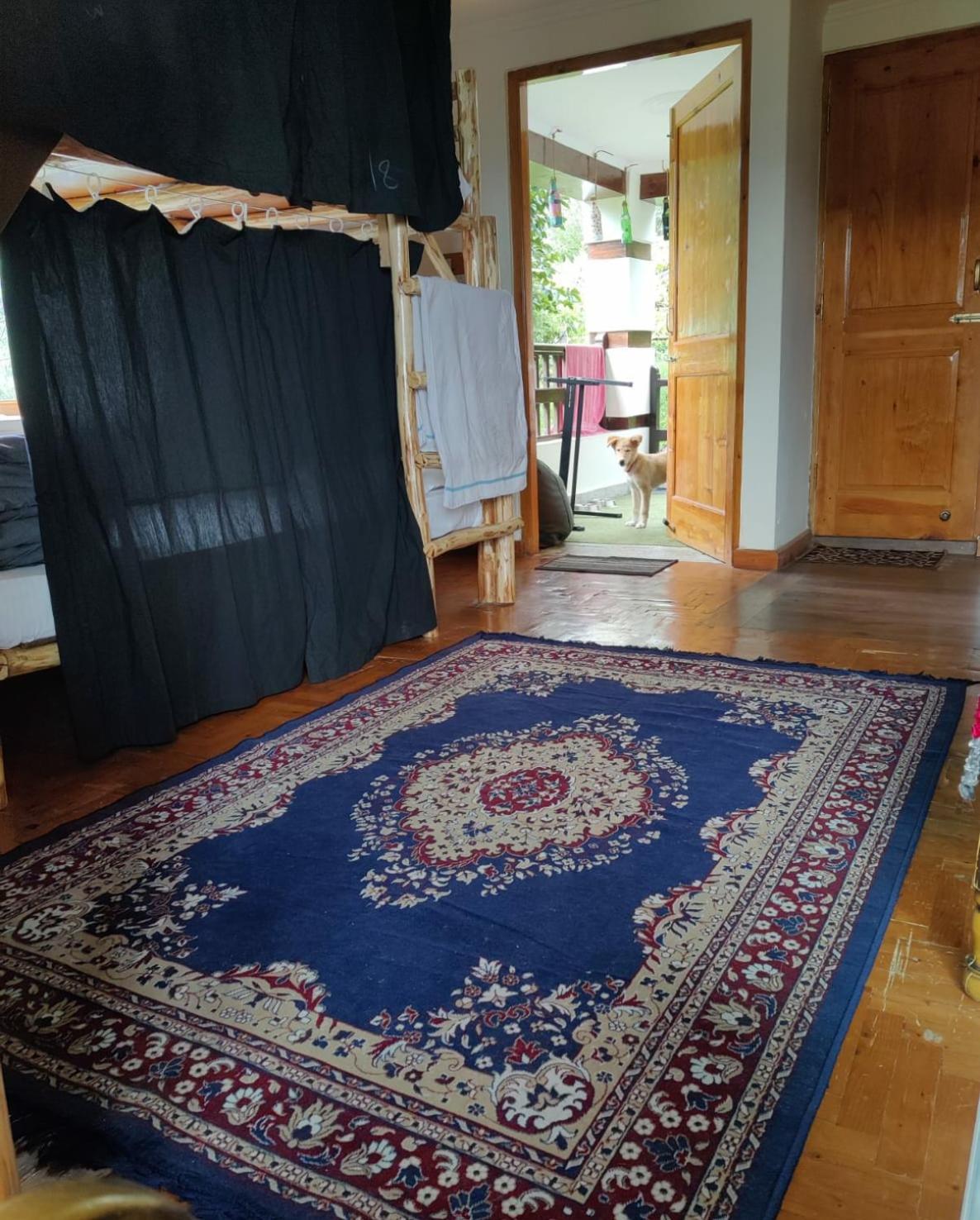 Photo 21