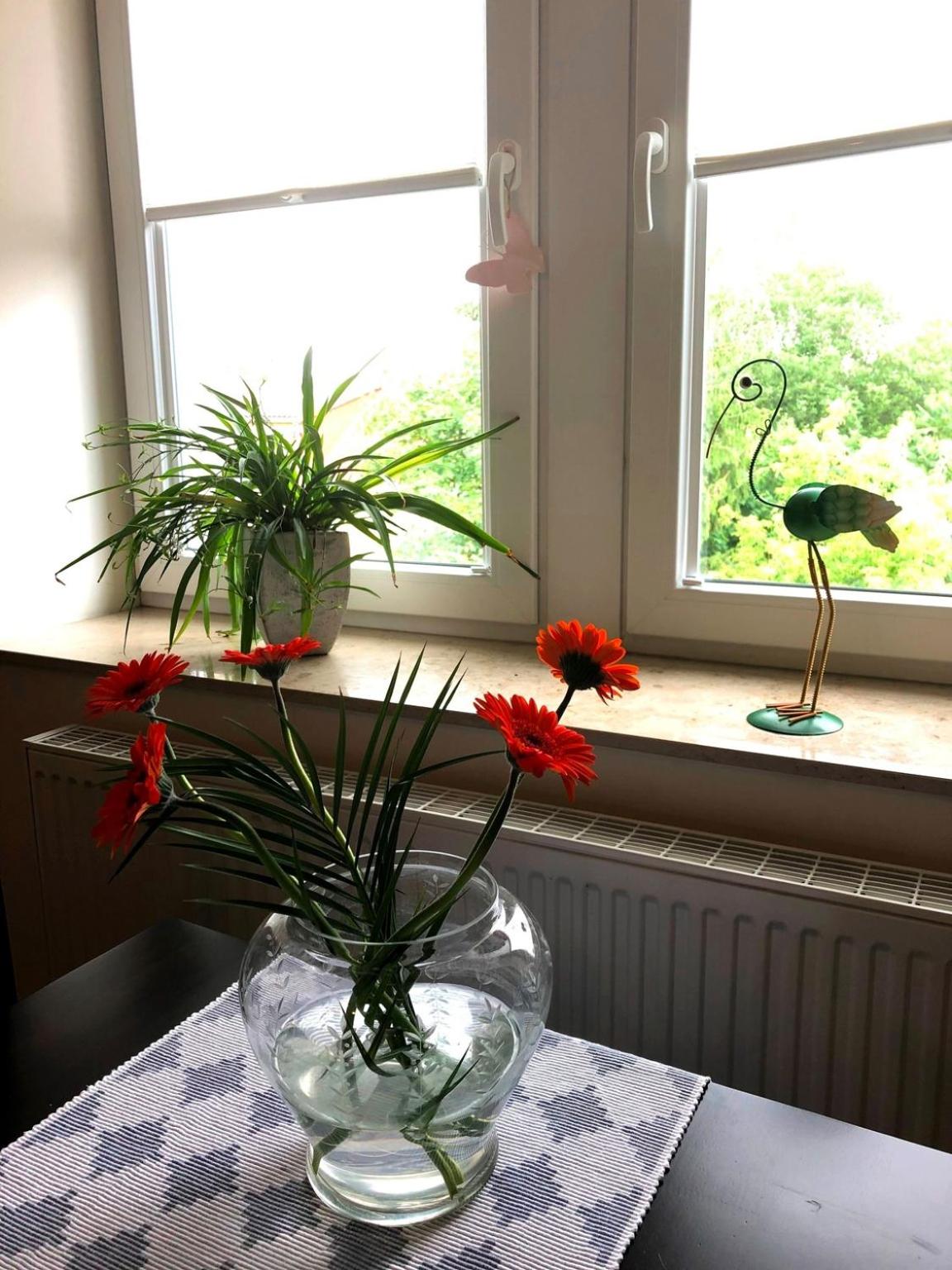 Dresden Vacations - Ferienwohnung an der Elbfahre - Property Image 7