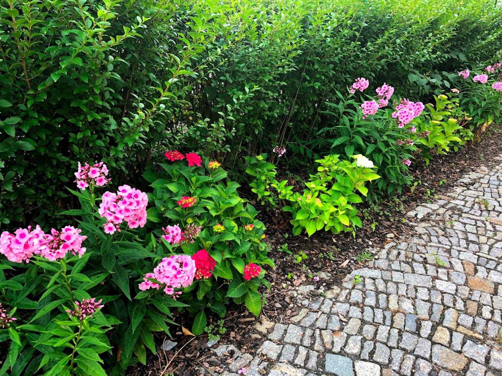 Dresden Vacations - Ferienwohnung an der Elbfahre - Property Image 11