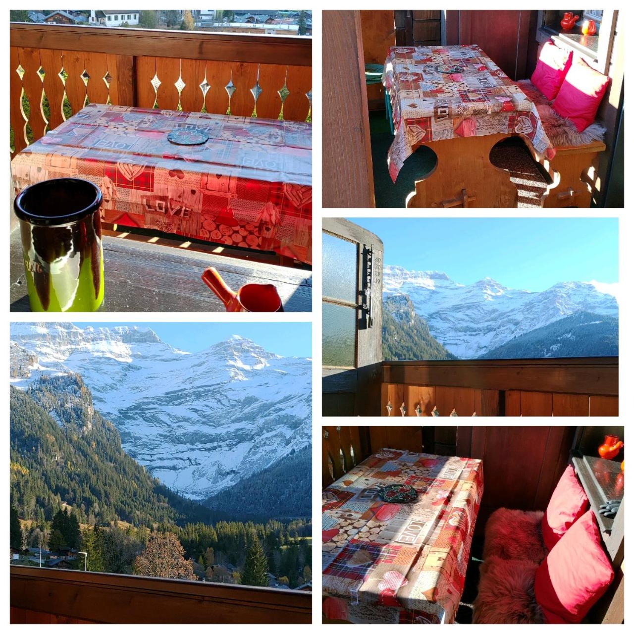 Studio avec vue splendide sur les Diablerets